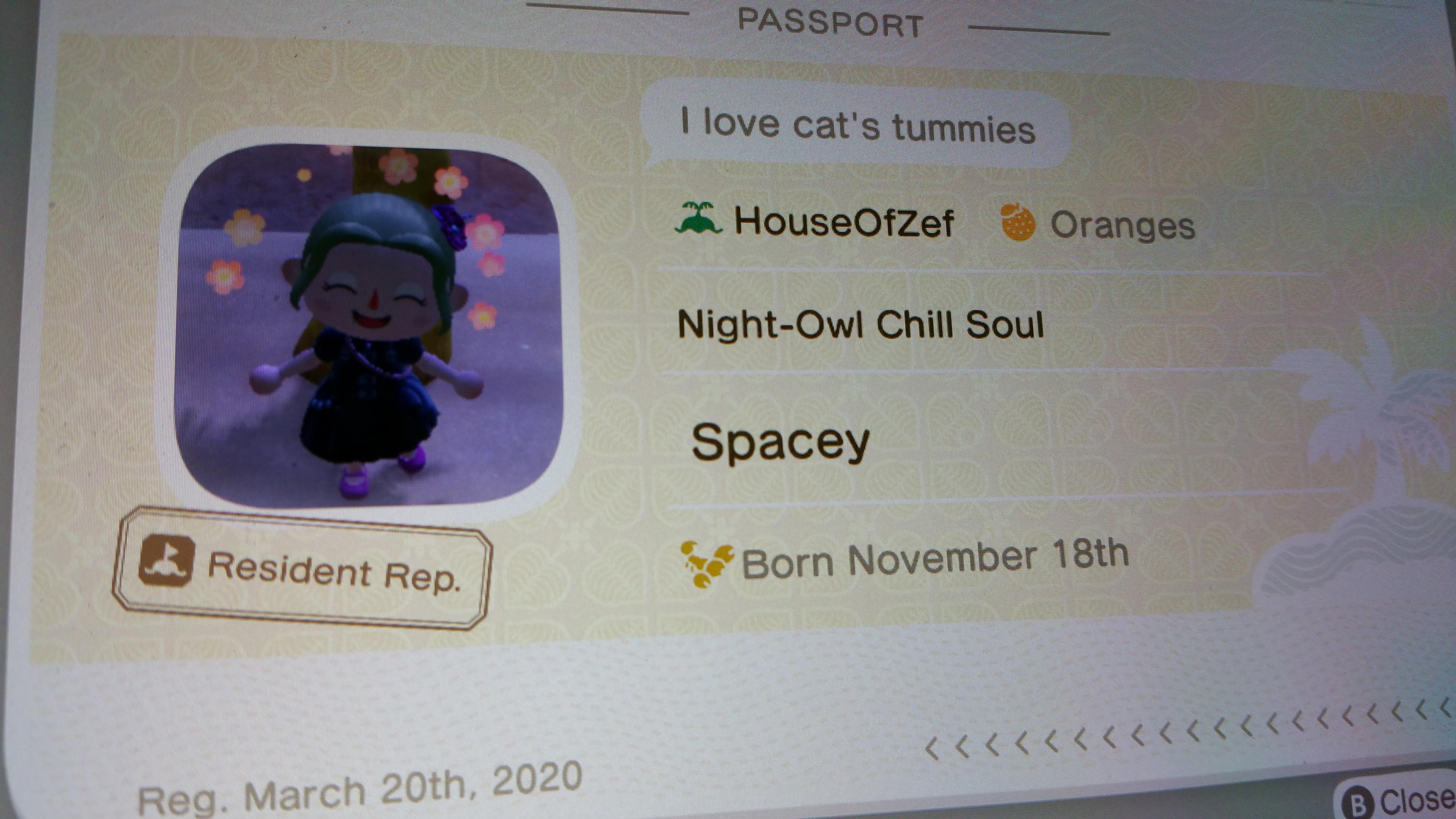 I named my Animal Crossing island 'House of Zef' 😁 r/DieAntwoord