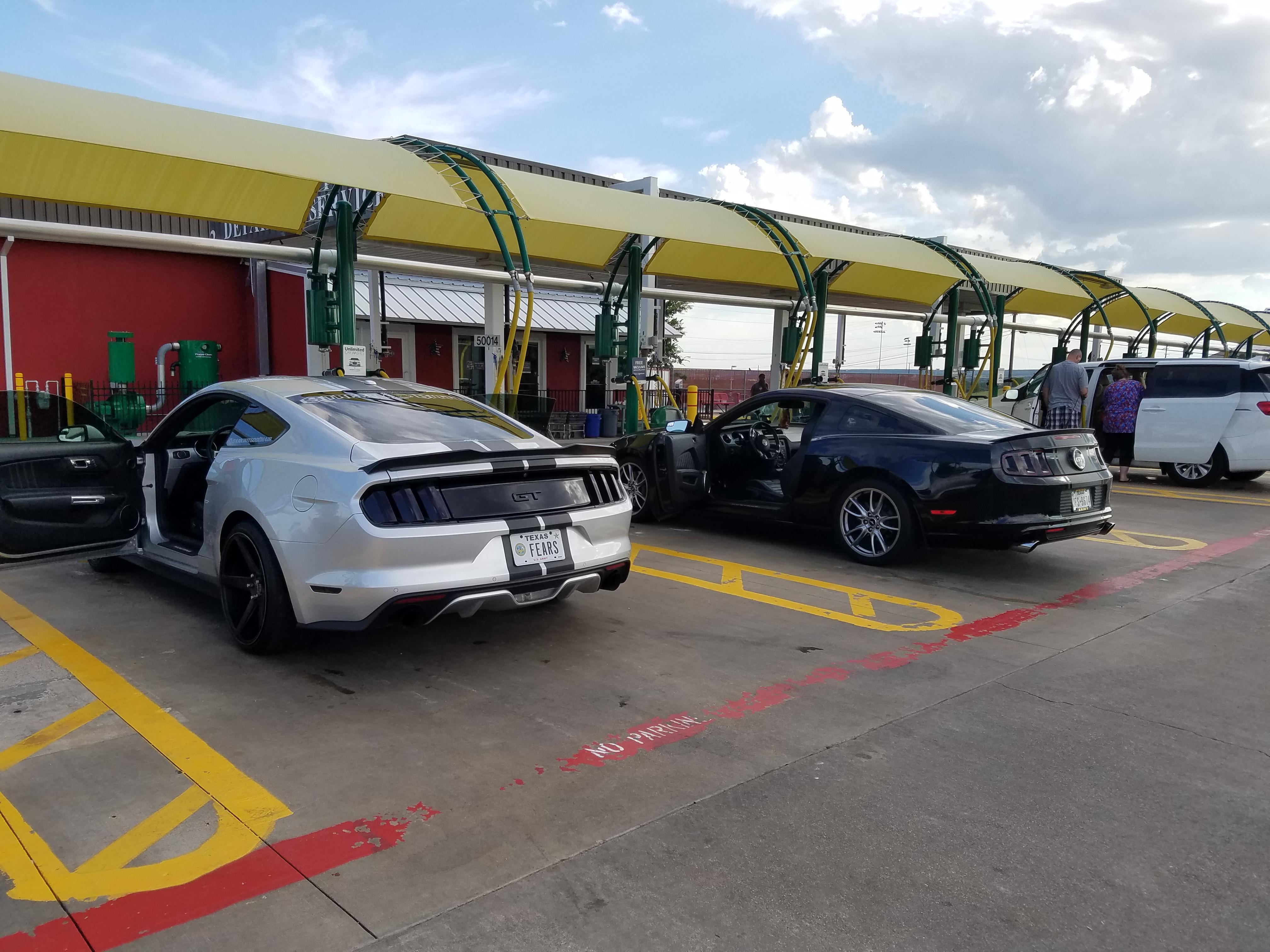 Made a friend at the car wash r/Mustang