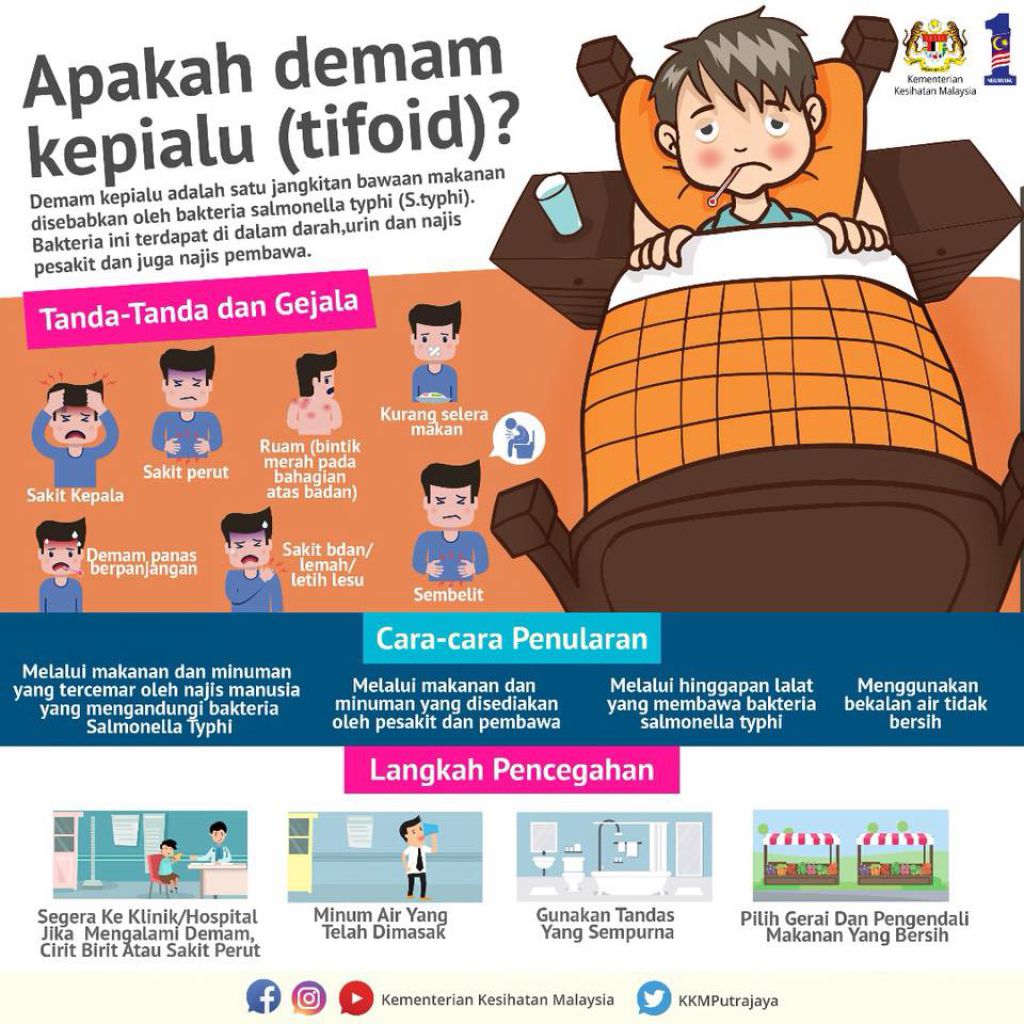 Apakah demam kepialu (typhoid fever)? InfoSihat