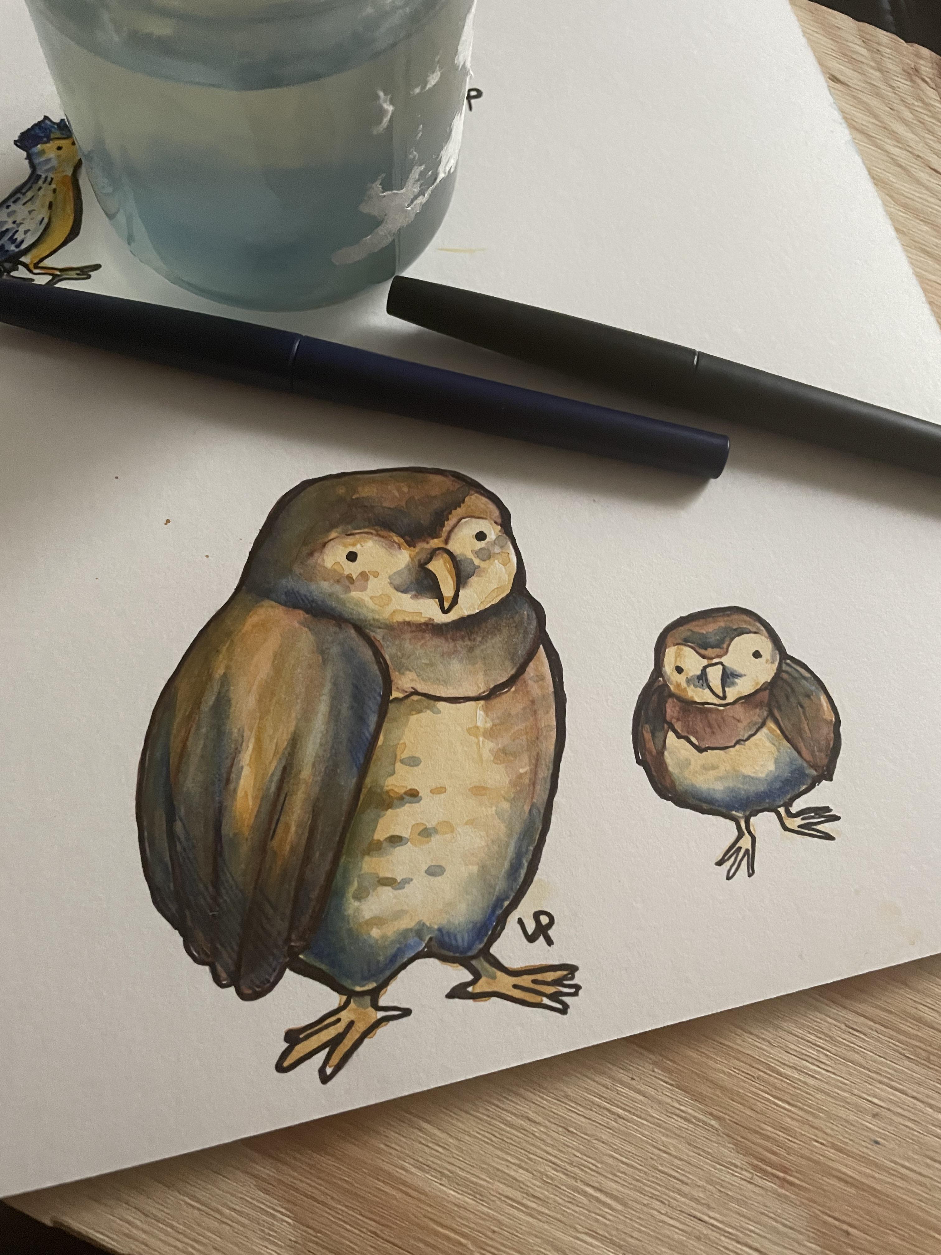 How To Draw A Cute Baby Owl
