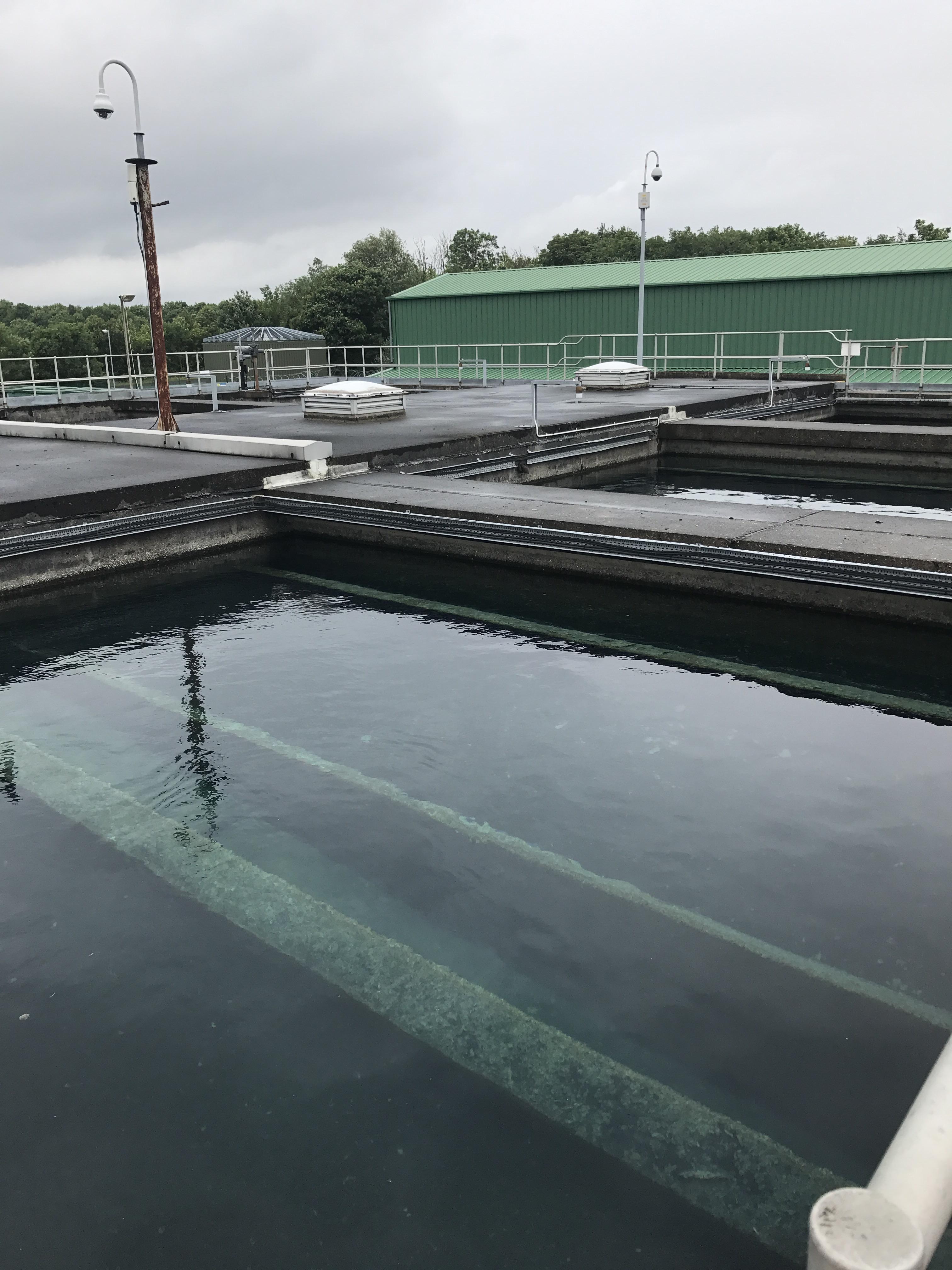 Filter pools on a tour of a water treatment plant. r/submechanophobia