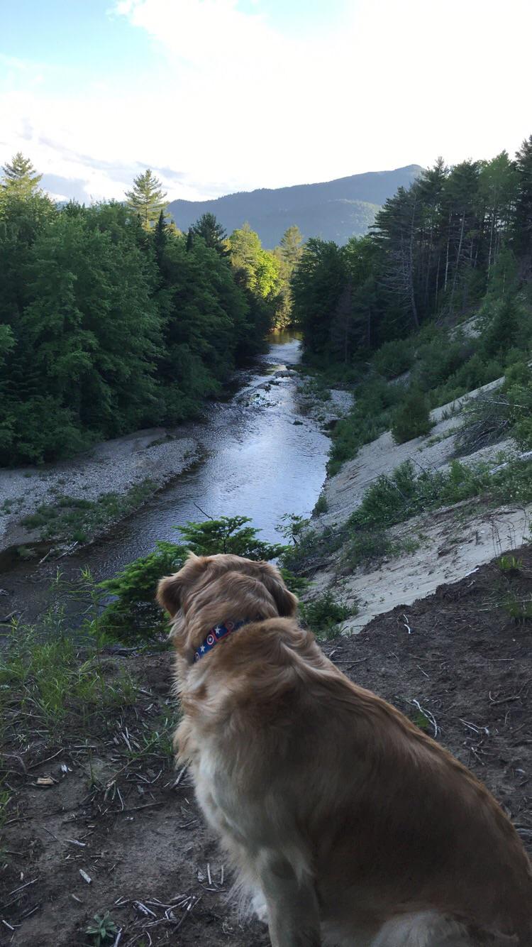 First reddit post and first camping trip with the pup! Views from the