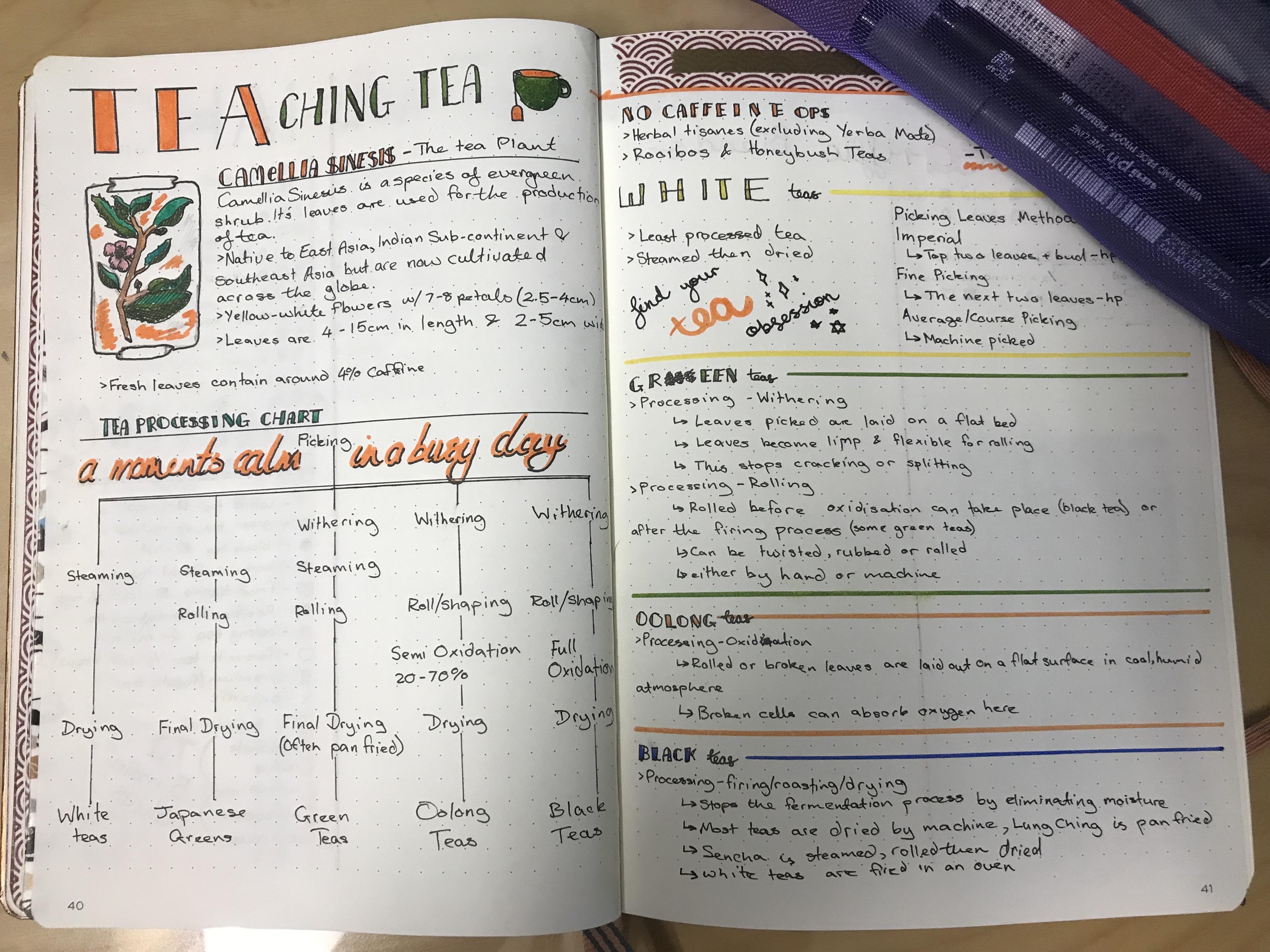 I made a Teaching guide for tea in my bullet journal. Really happy with