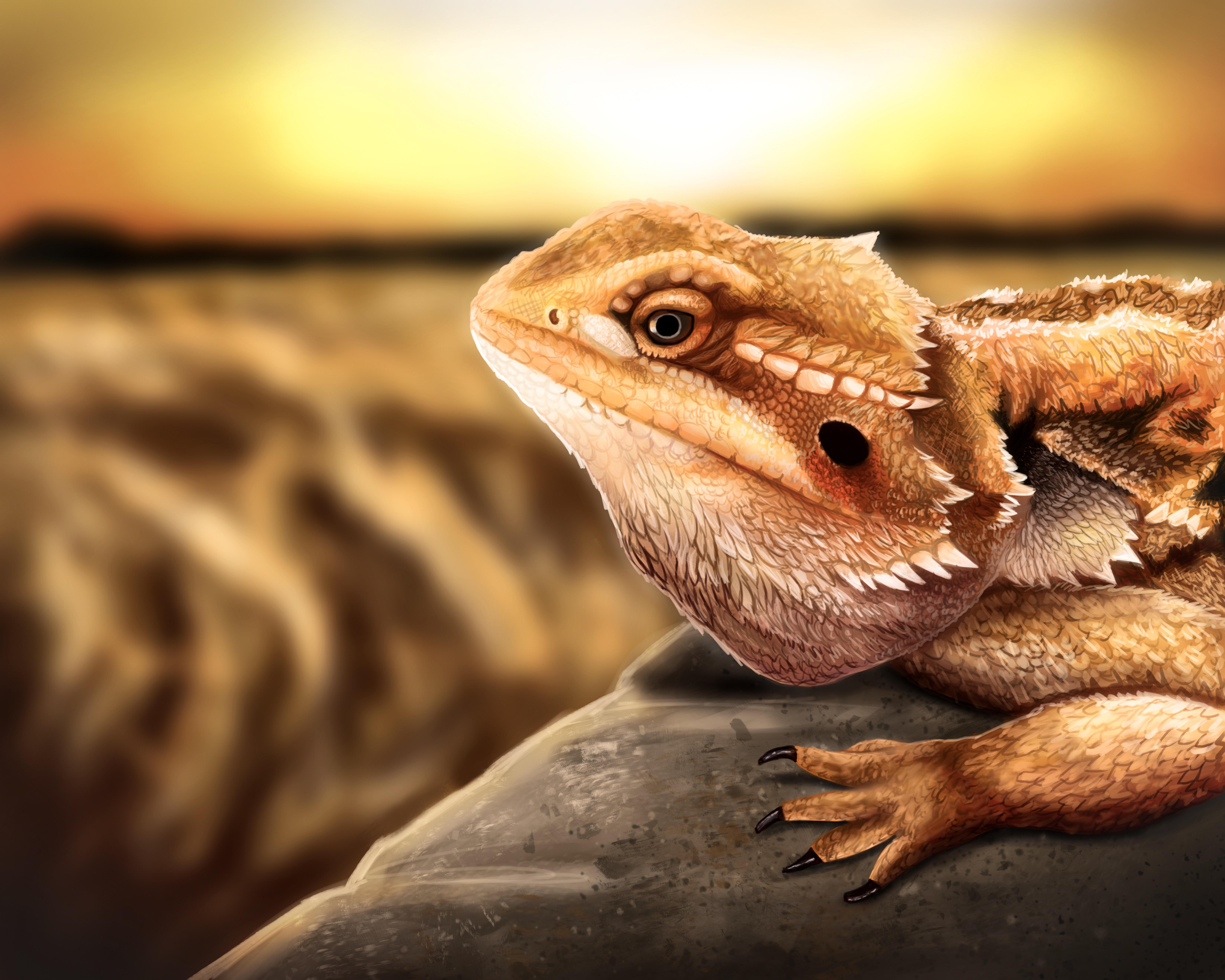I recently commissioned a bearded dragon
