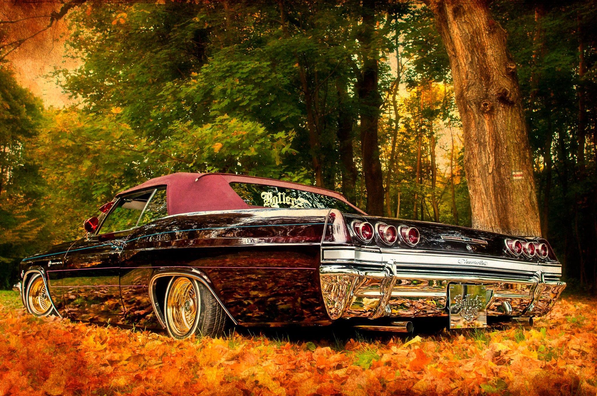 🍁 r/lowriders