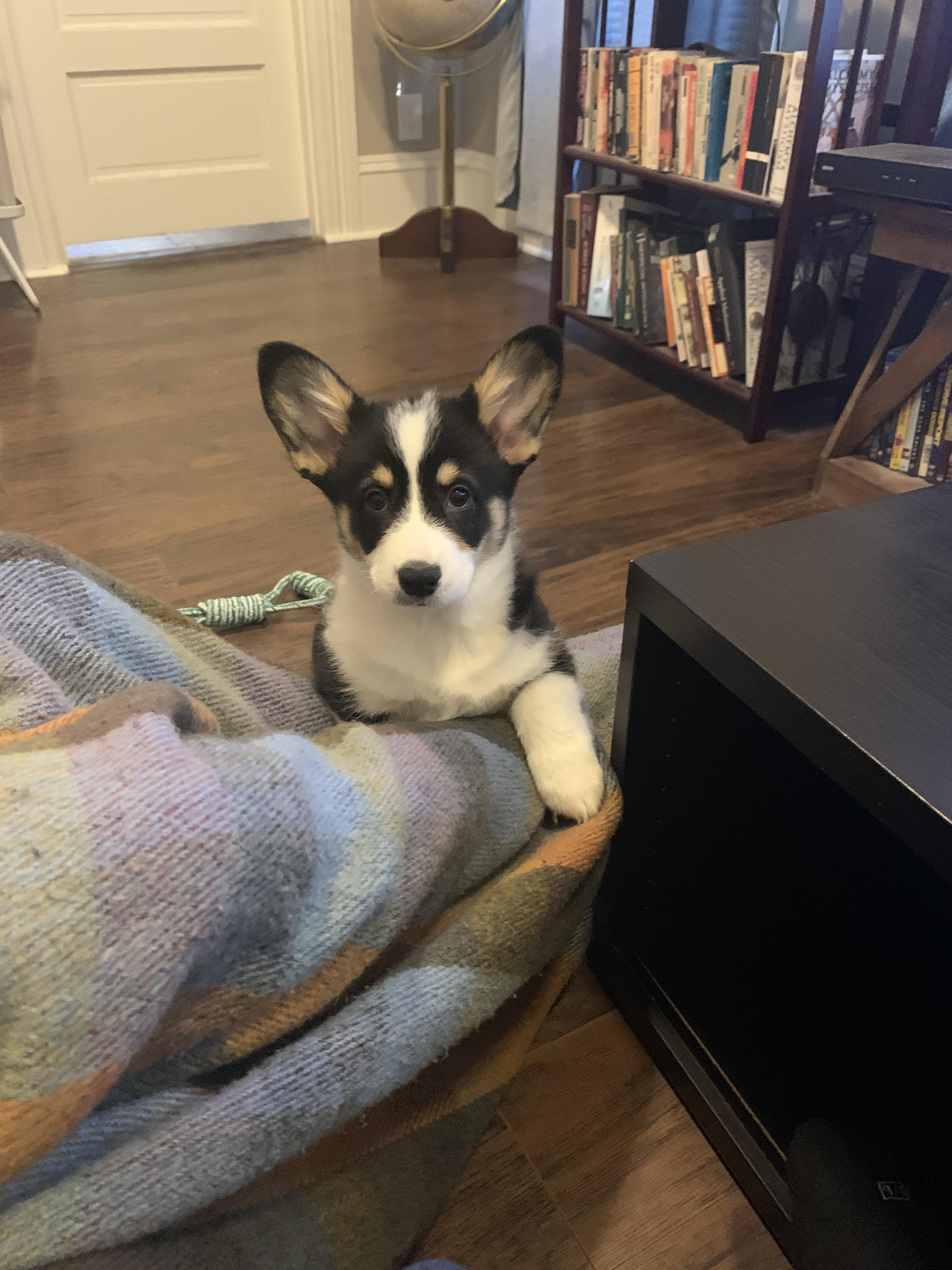 Lord Rufus. First of his name. King of this castle.