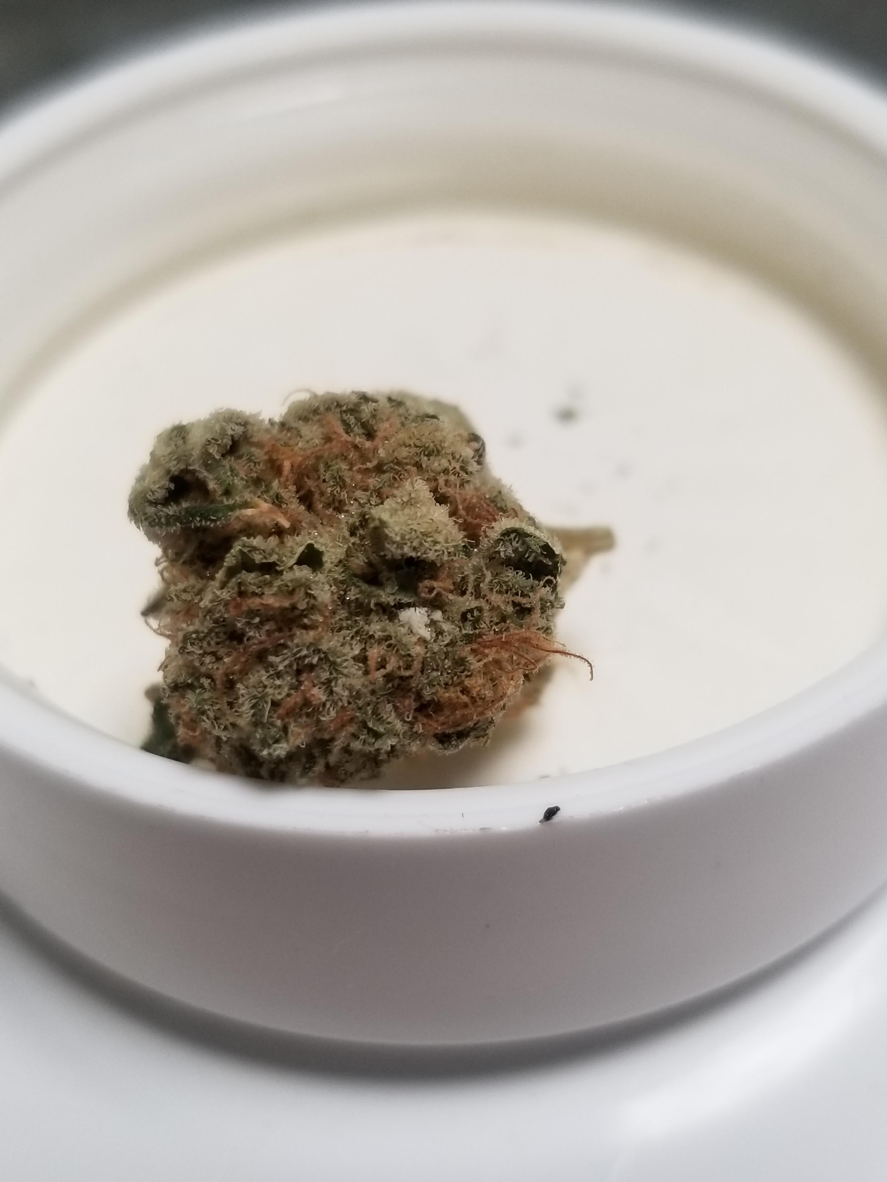 DaFuq is this white spot on my mandarin dreams? r/FLMedicalTrees