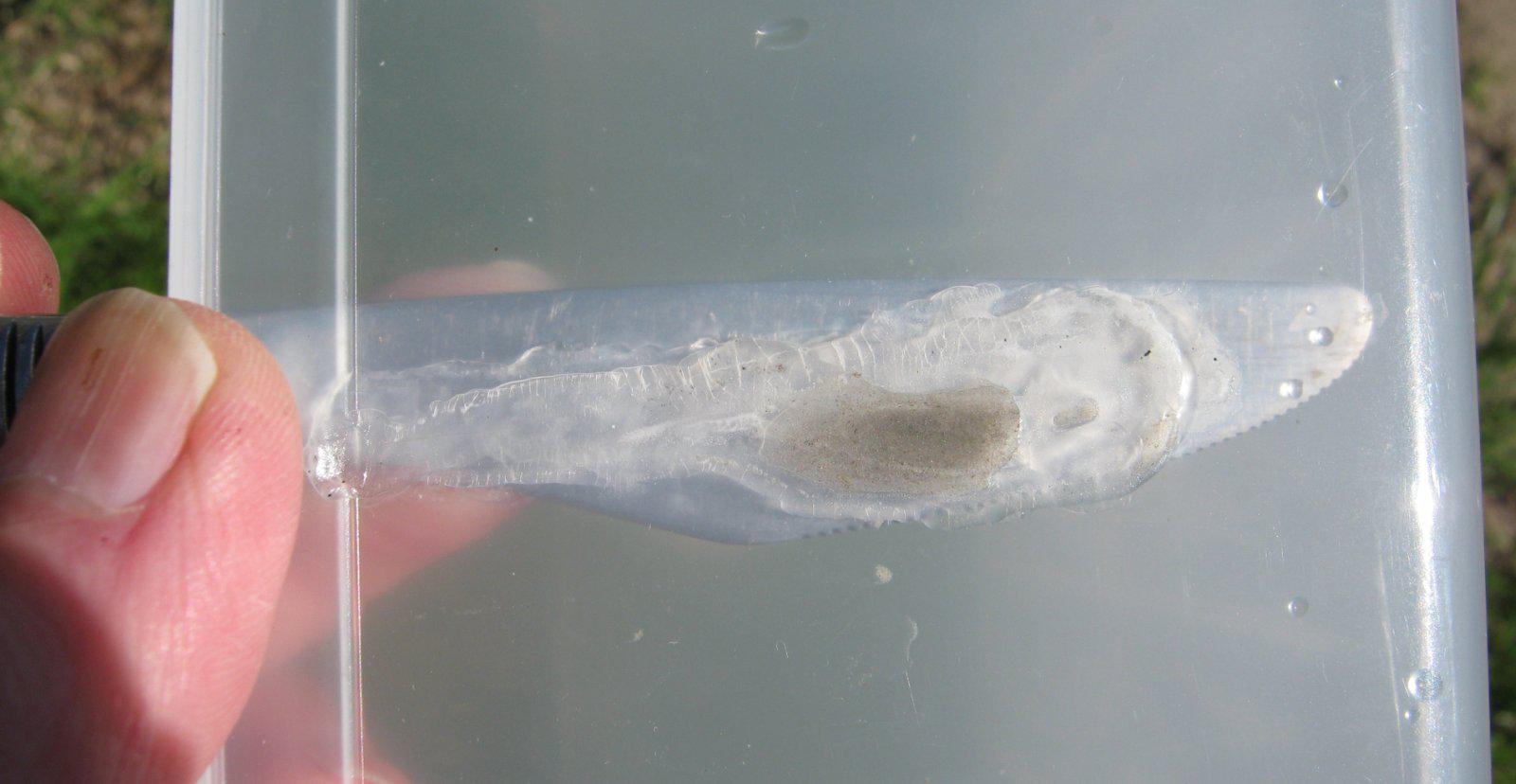 Repairing cracked plastic tubs. r/shrooms