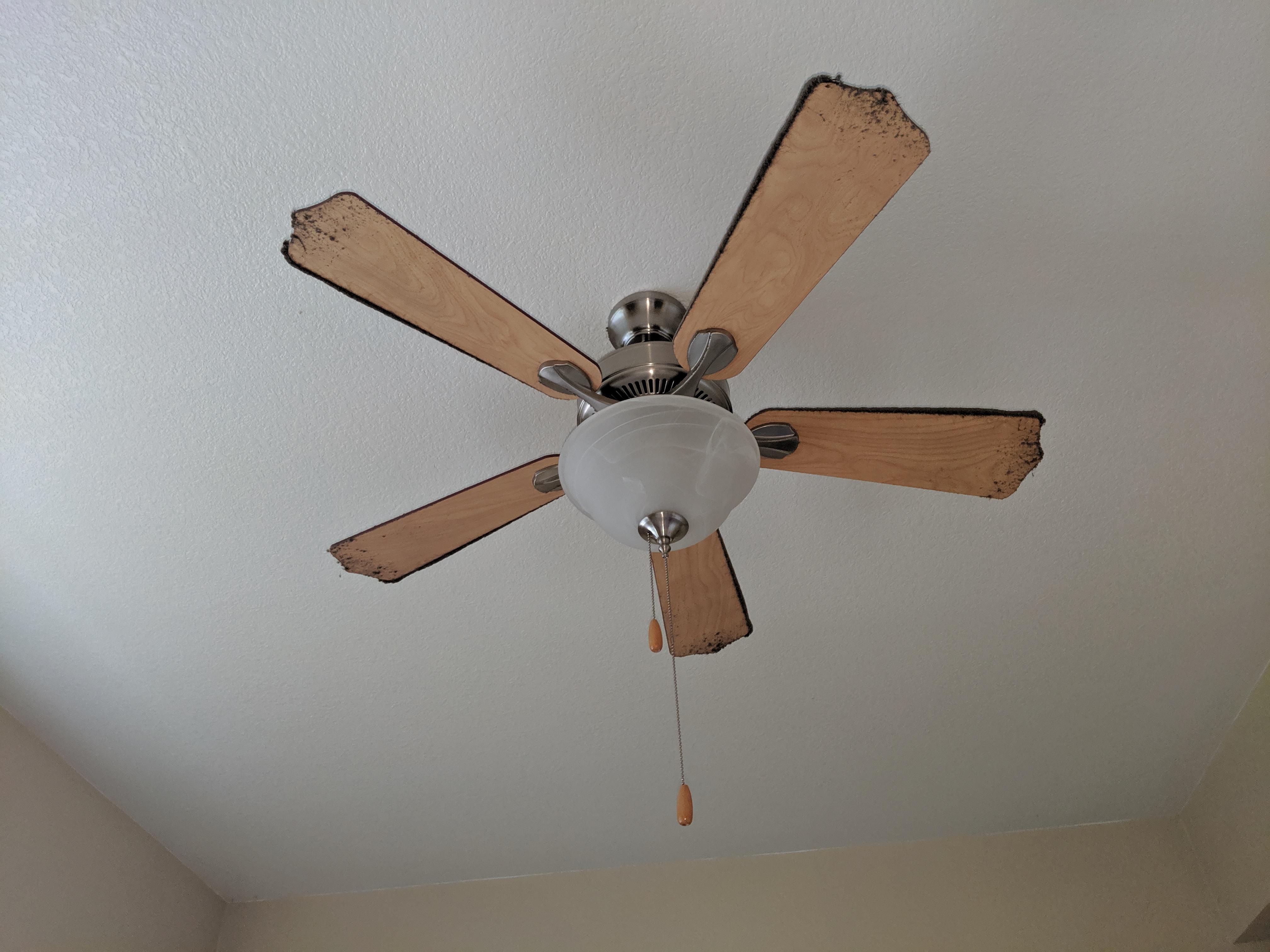 It isn't that bad, rather disgusting, but my roommates ceiling fan
