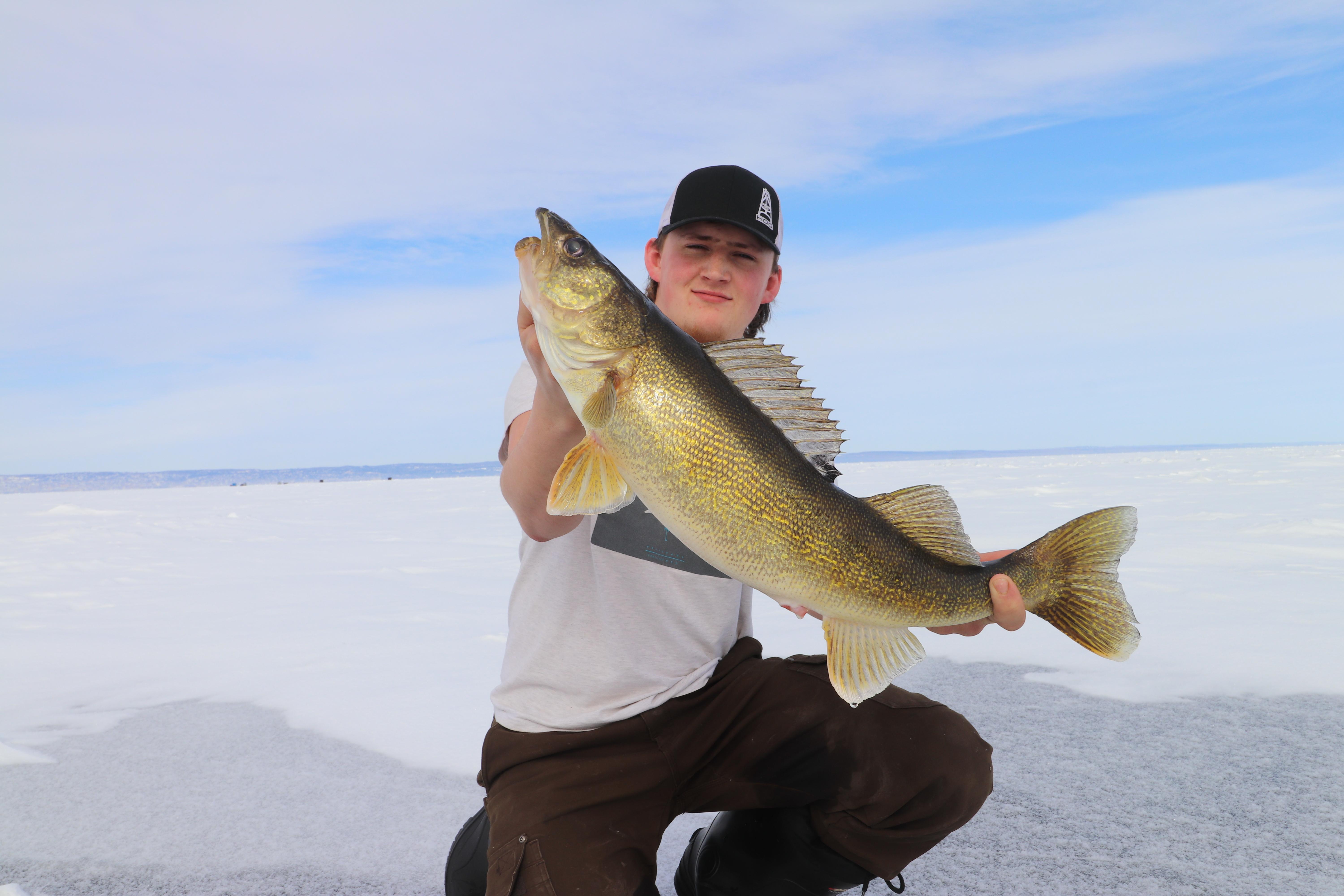 Lake Superior walleye. Link to the video https//youtu.be/MMx50Zi0MHk