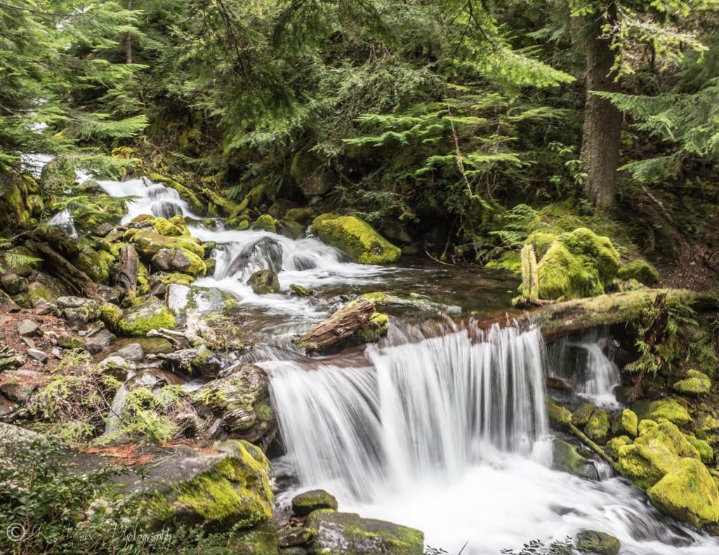 [OC] Lillian Falls, Black Creek Trail No. 3551, Willamette National