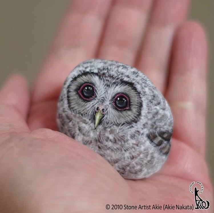 Incredible Owl stone art by the artist Akie r/Owls
