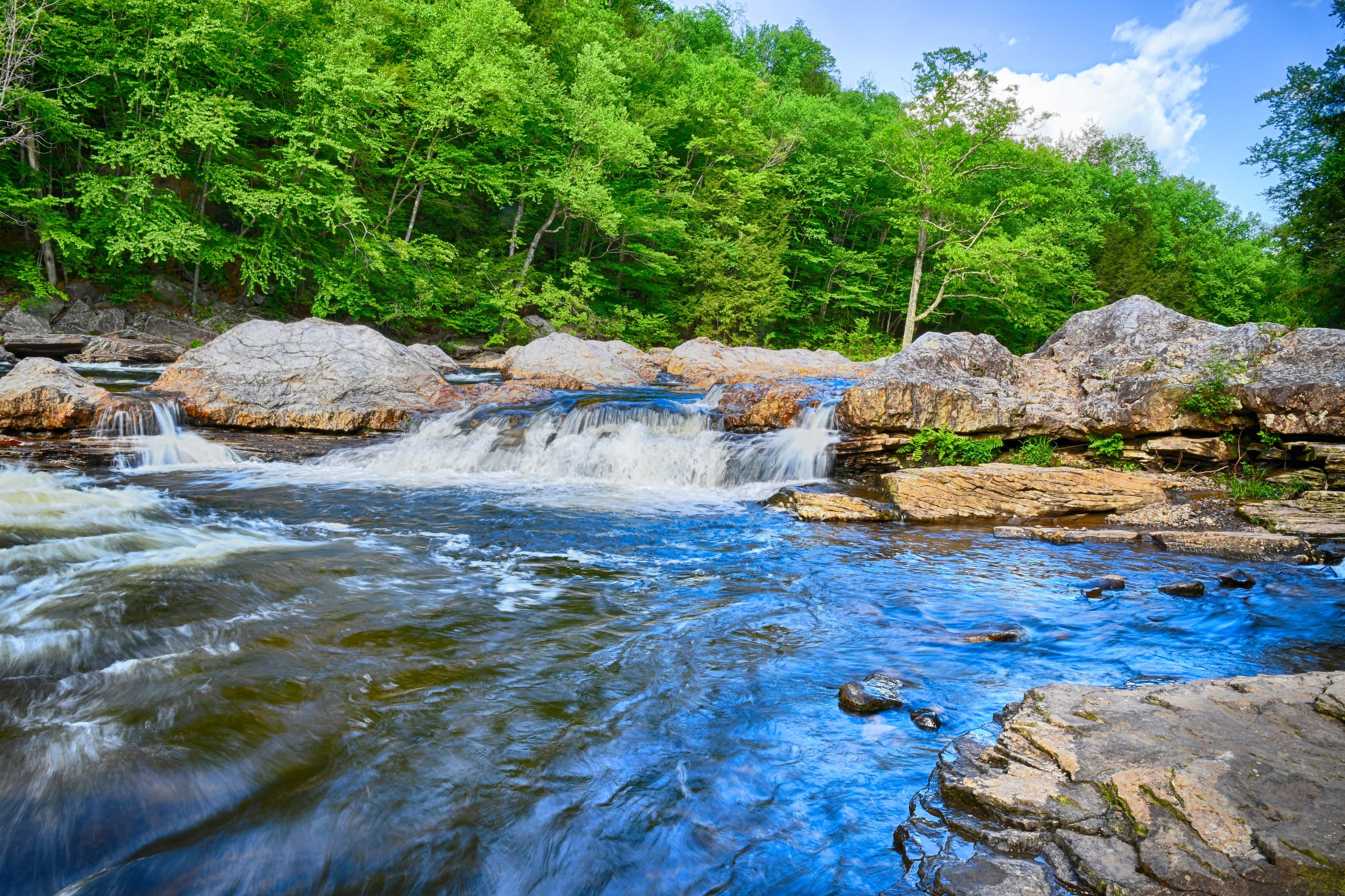 Deep in the Pennsylvania Wilds Loyalsock Creek Dushore, PA [OC