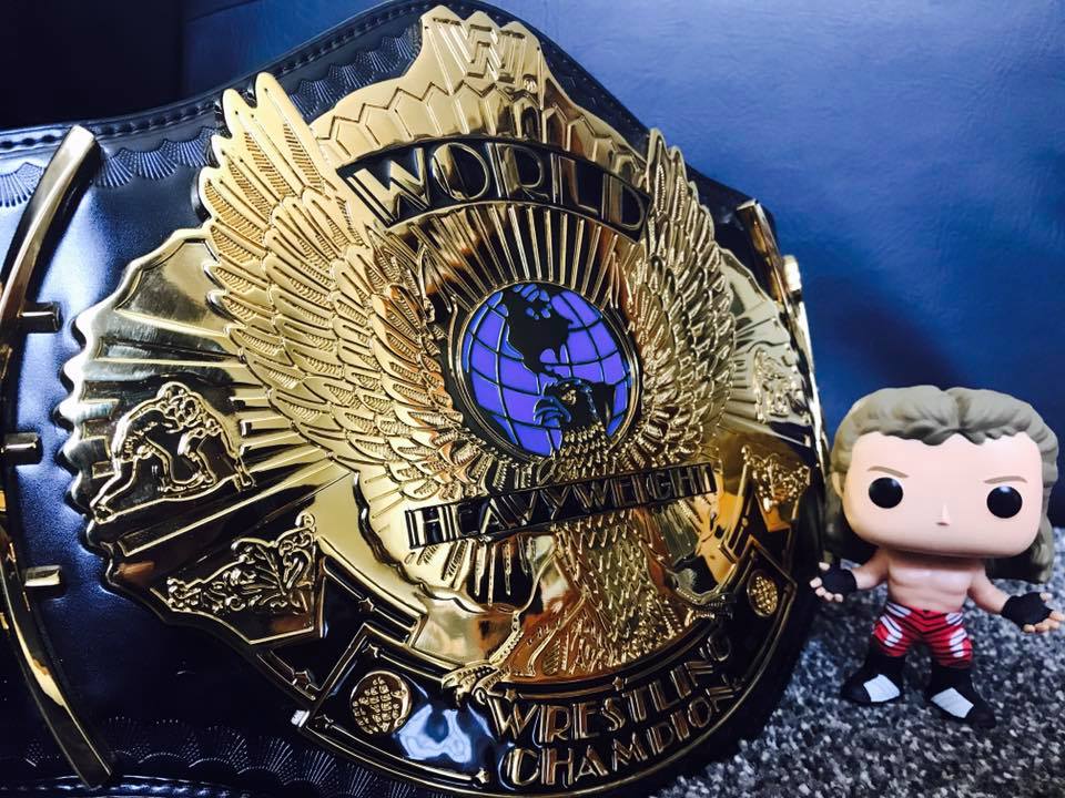 [USOH] The boyhood dream has come true funkopop