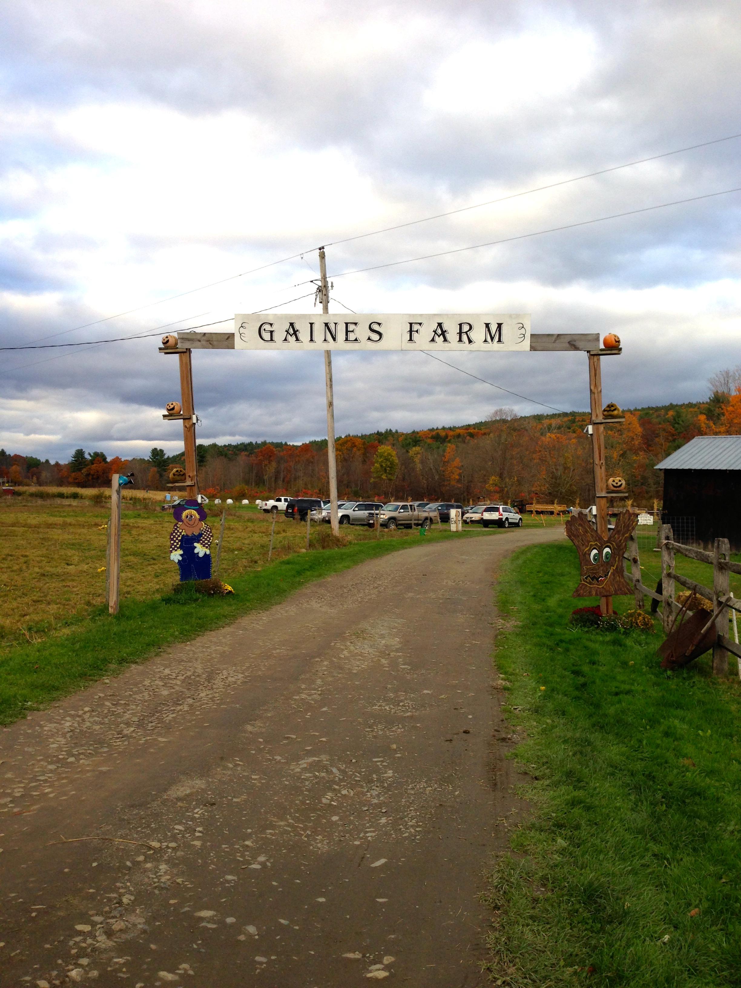 Gaines Farm Festival, Guilford VT r/AutumnPorn