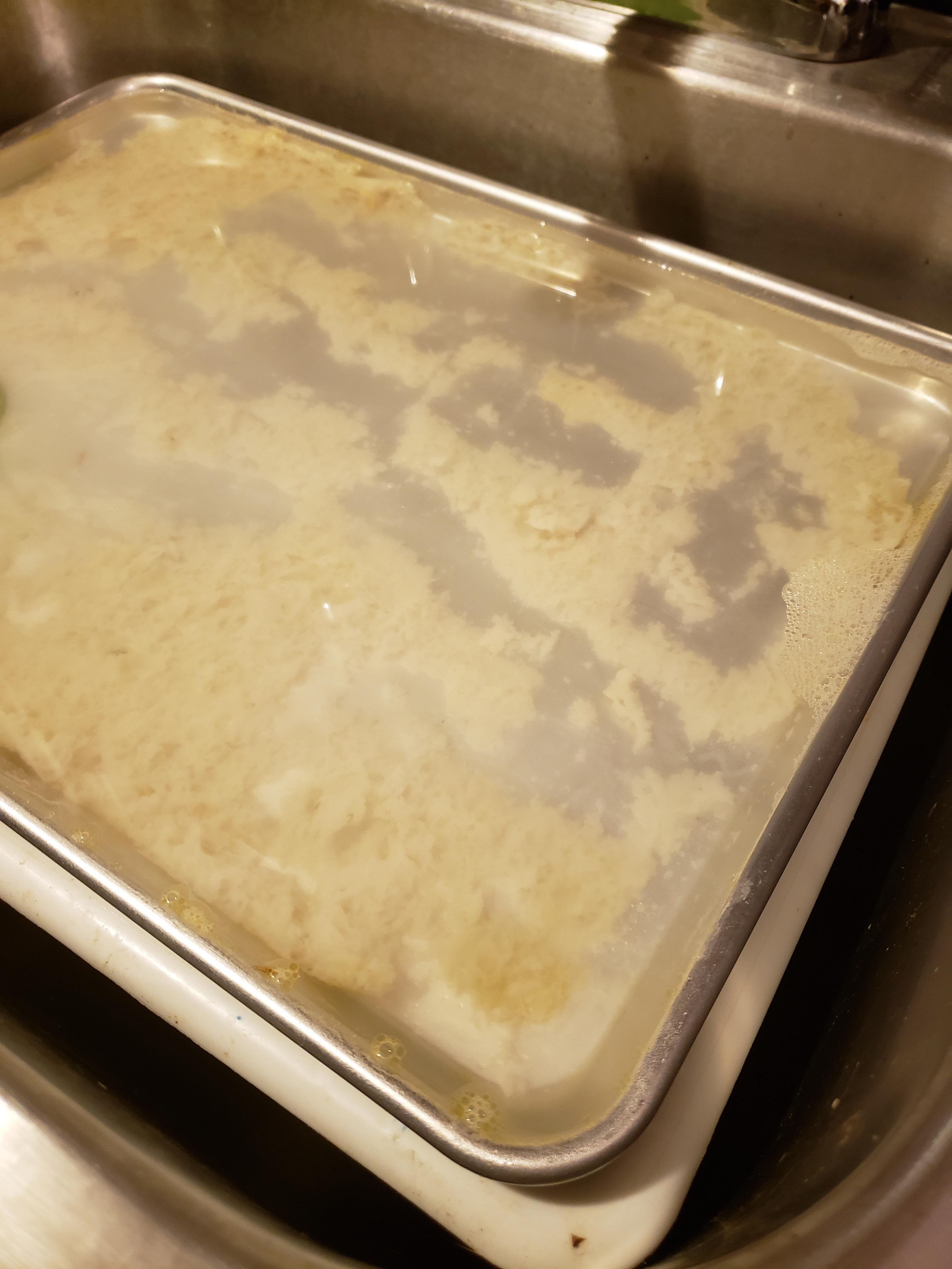 HELP!!! Focaccia bread stuck to pan even though oiled with olive oil