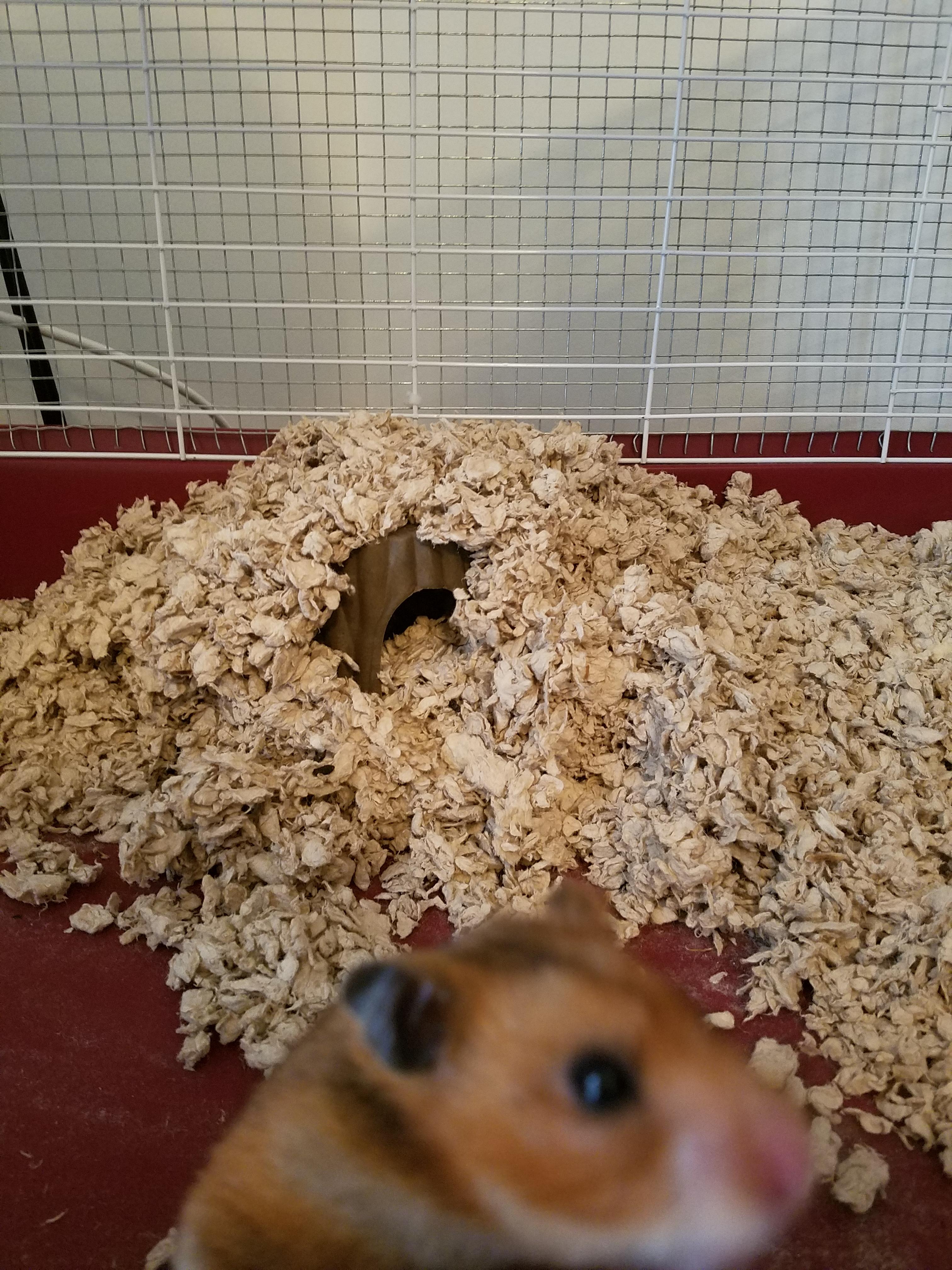 Completely she even had a hideout because she completely covered