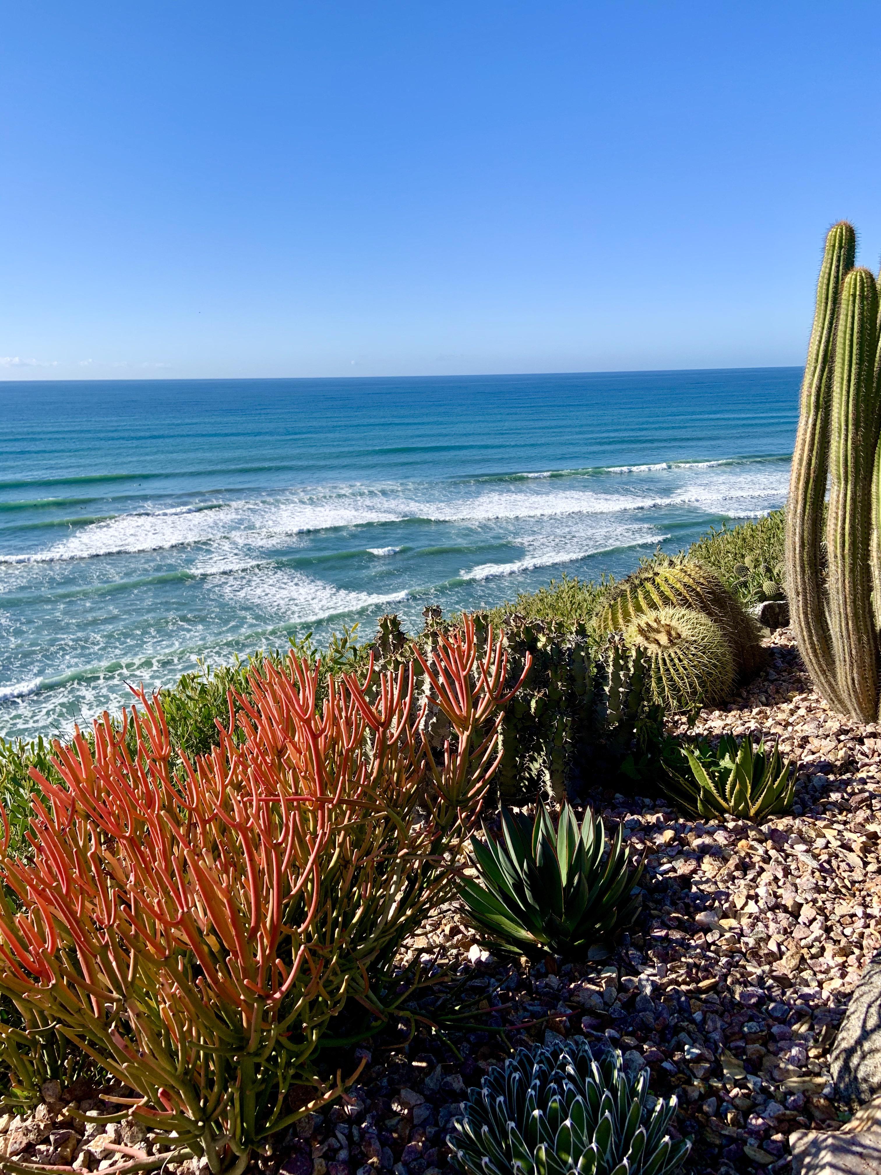 Meditation Gardens Encinitas, CA beach