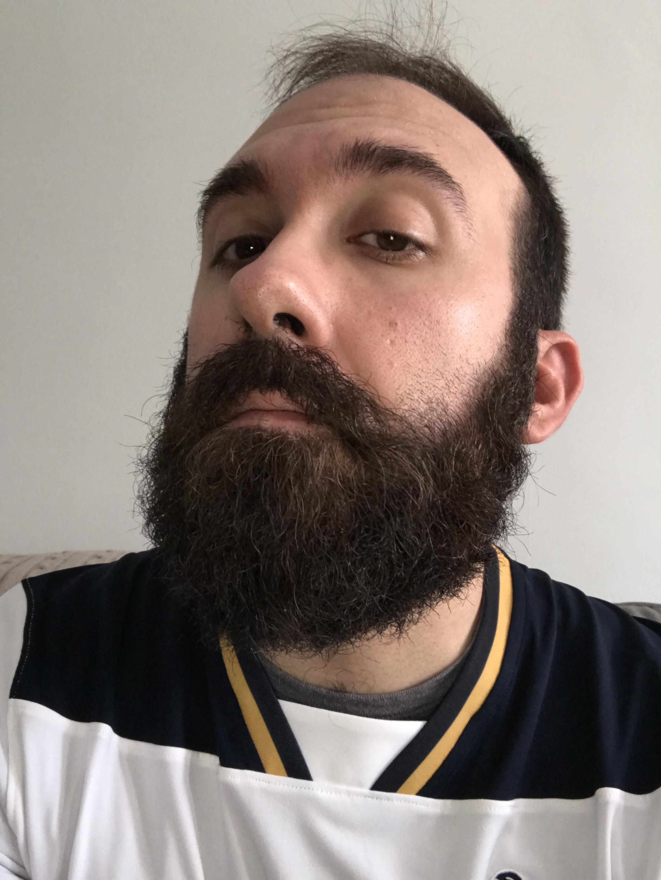 RIP My Winter Beard (5 Months) r/beards
