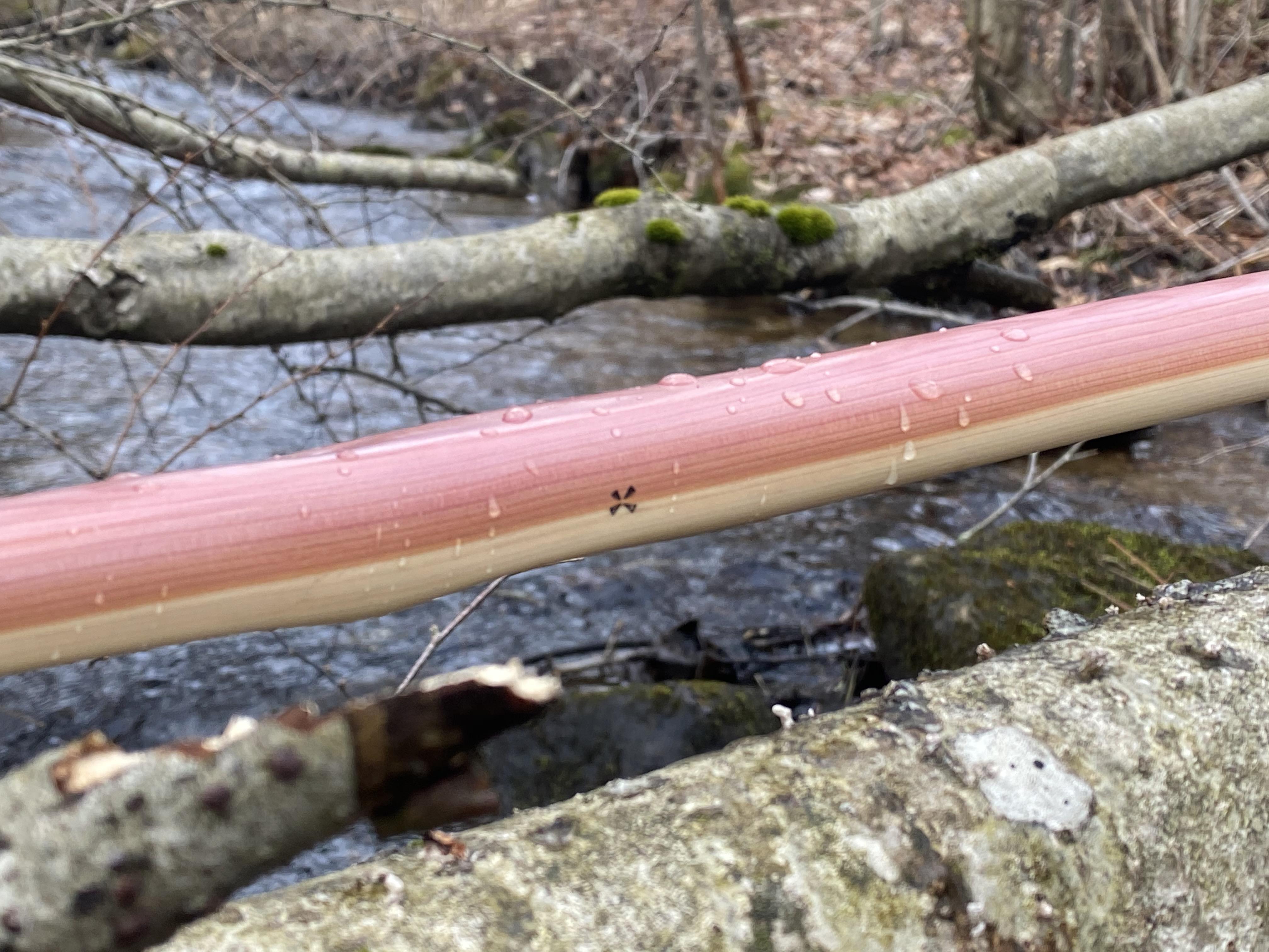 Juniper (Eastern Red Cedar) Lightweight Longbow r/Archery