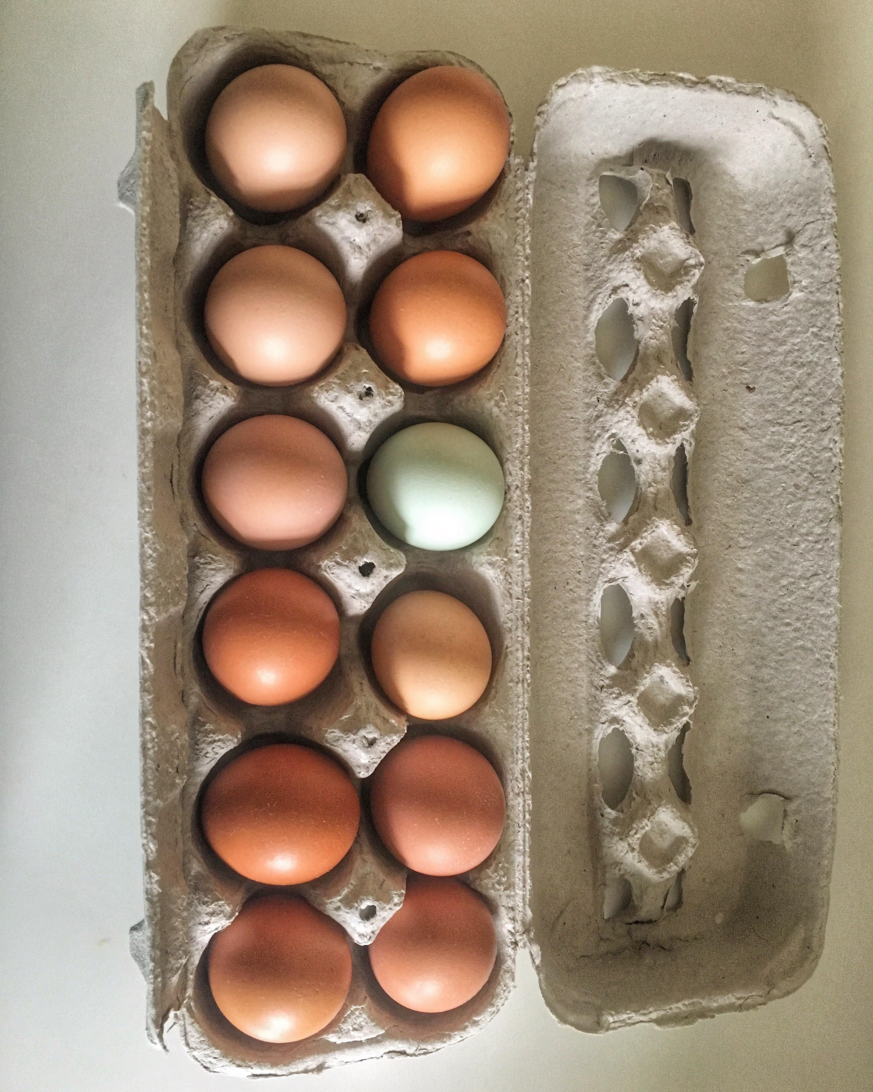 I was gifted farm fresh eggs from the farm next door and one of them is