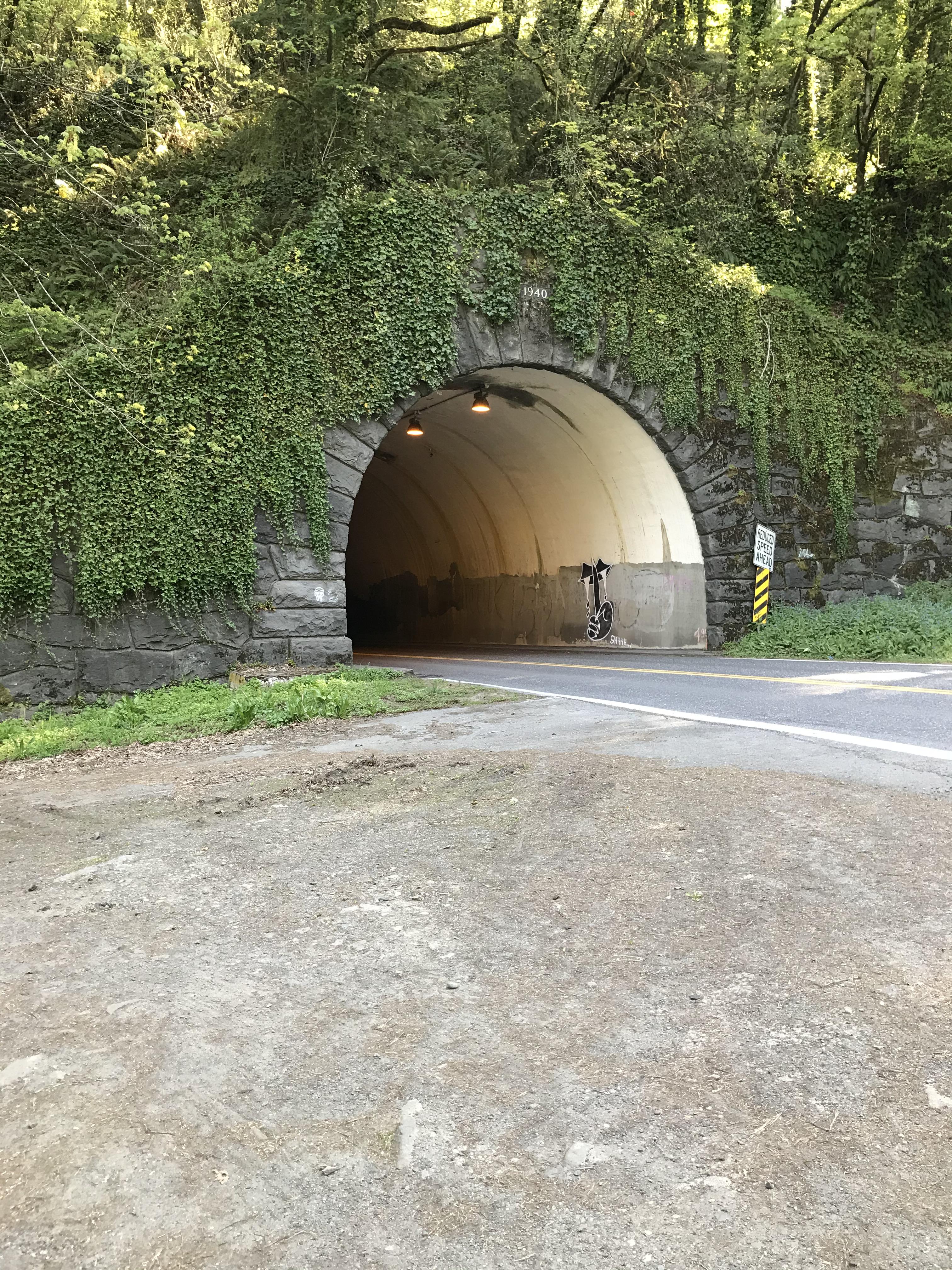 Tunnel in Portland, Or. r/pics