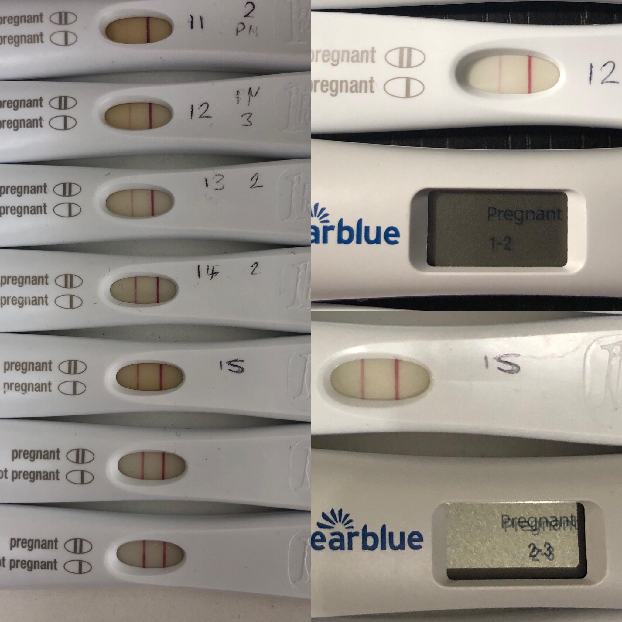 Progression Update CD Unknown DPO 10 16 Days Past Trigger 1117