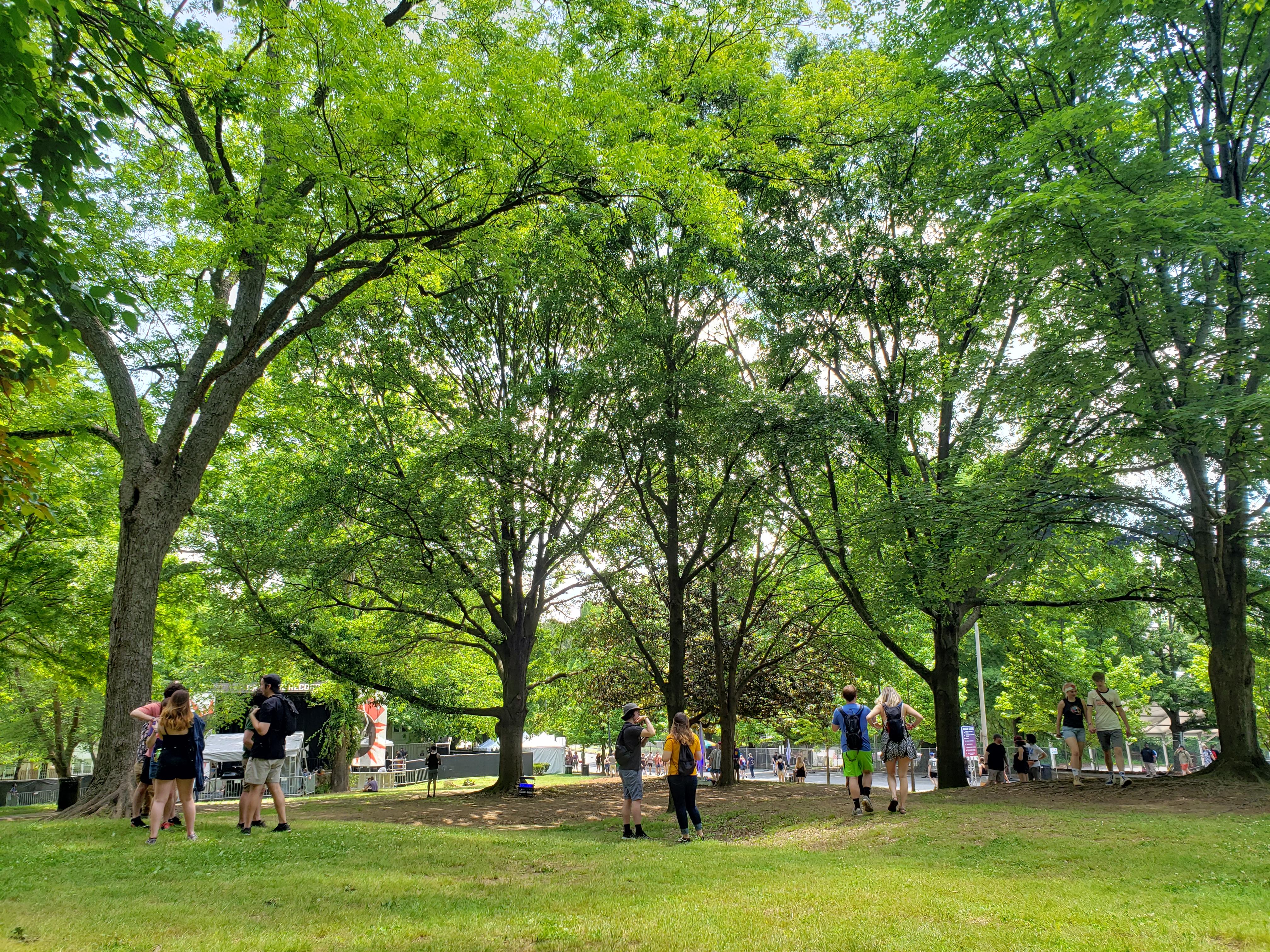 Shaky Knees at Central Park. What a beautiful place Atlanta is, I