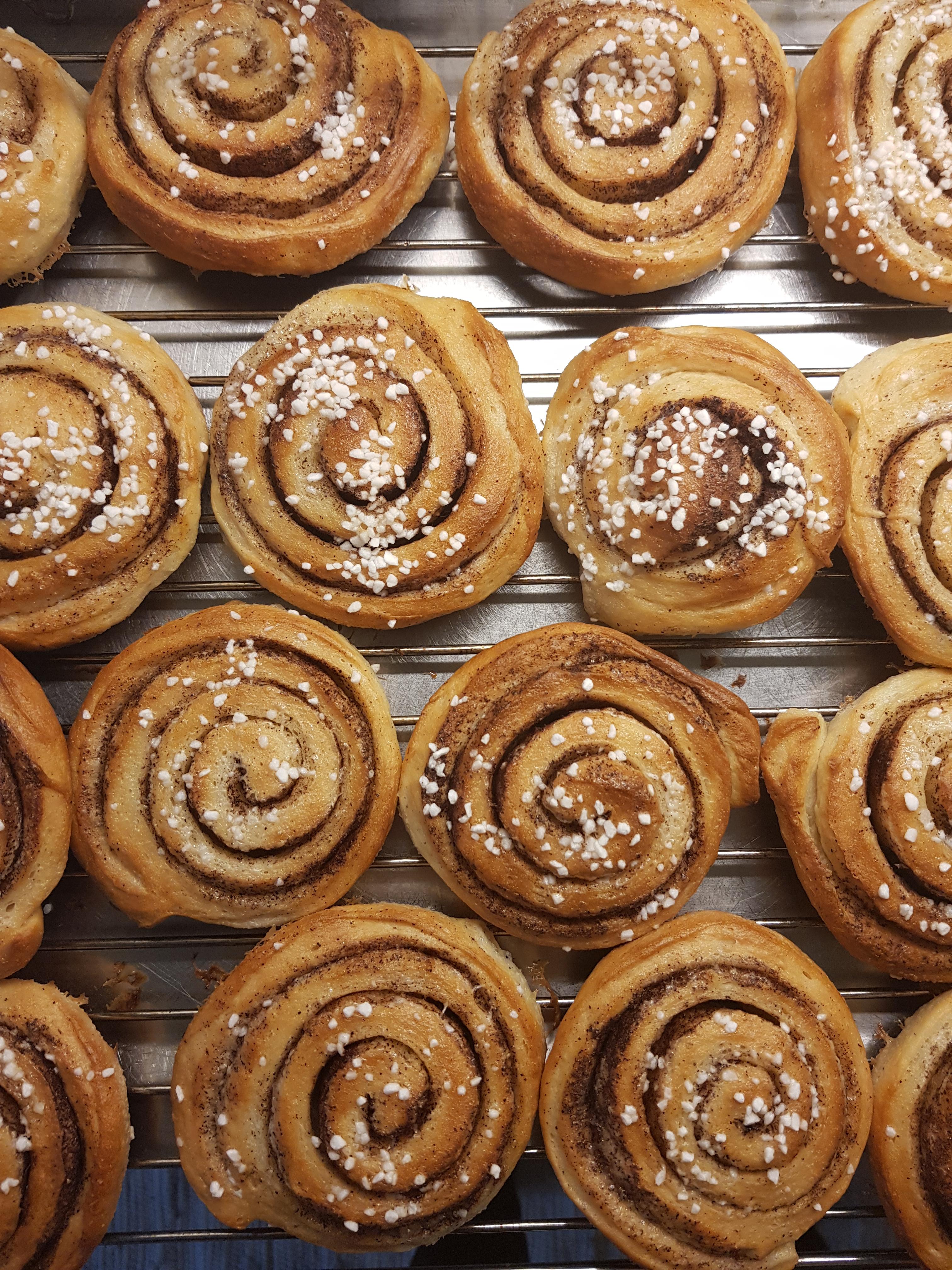 Vegan cinnabon buns in honor of national cinnabon bun day last week in