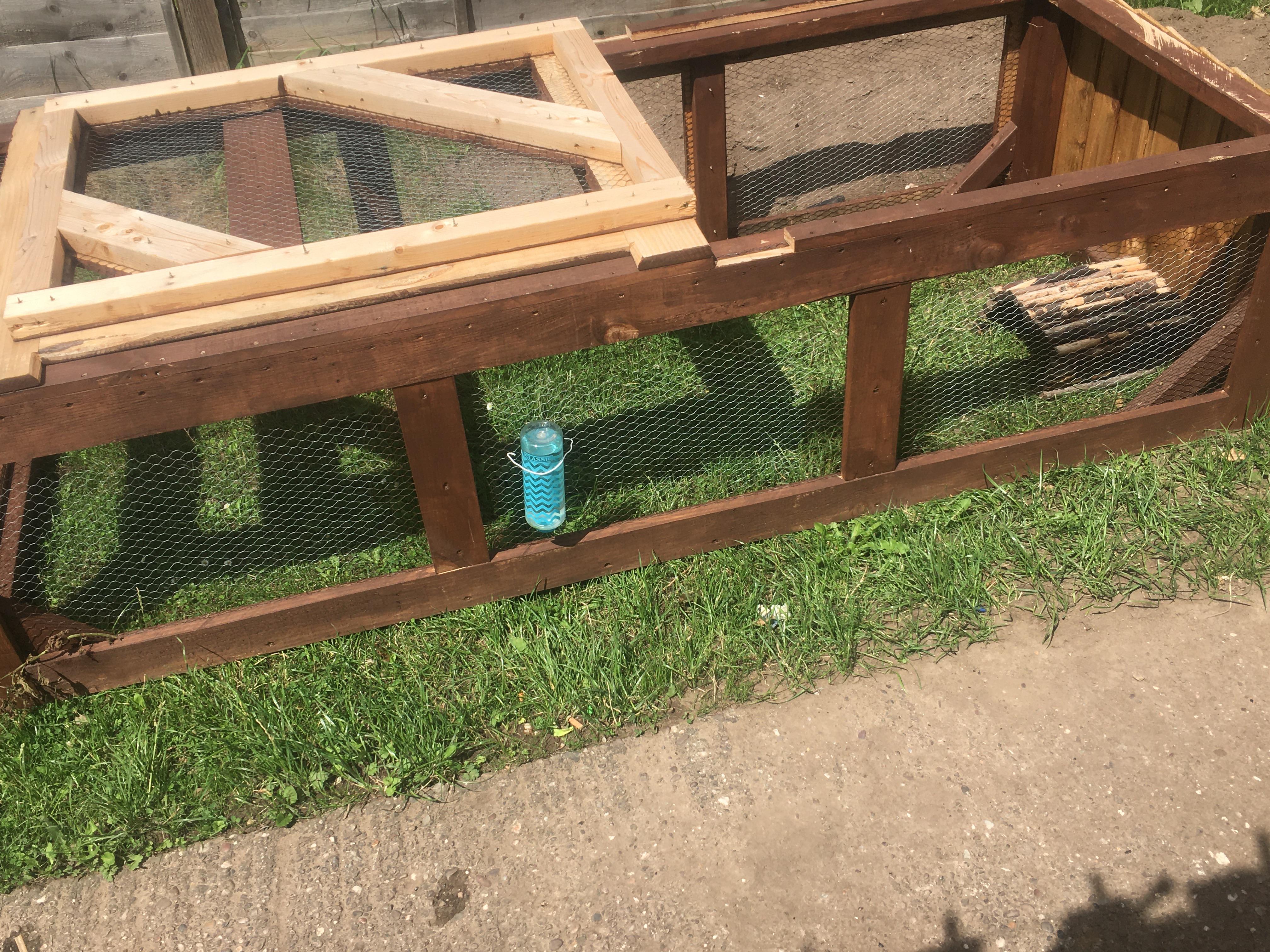 Our DIY Guiana pig run r/guineapigs