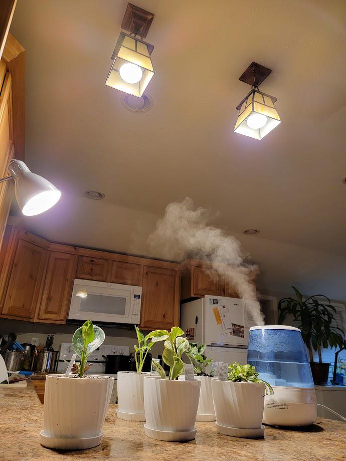 I put spare bulbs from my can lights in the fixtures above my counter