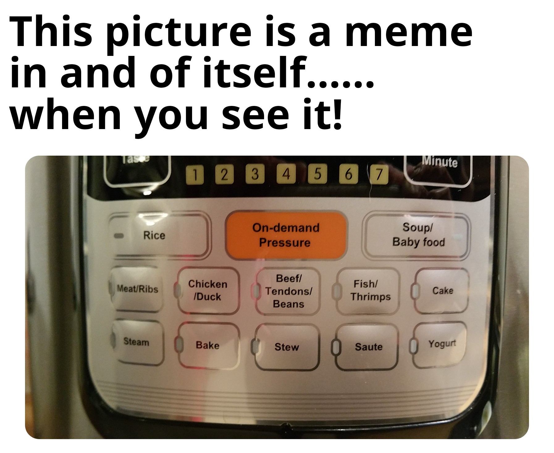 My second meme. This was an older electric pressure cooker. r/memes