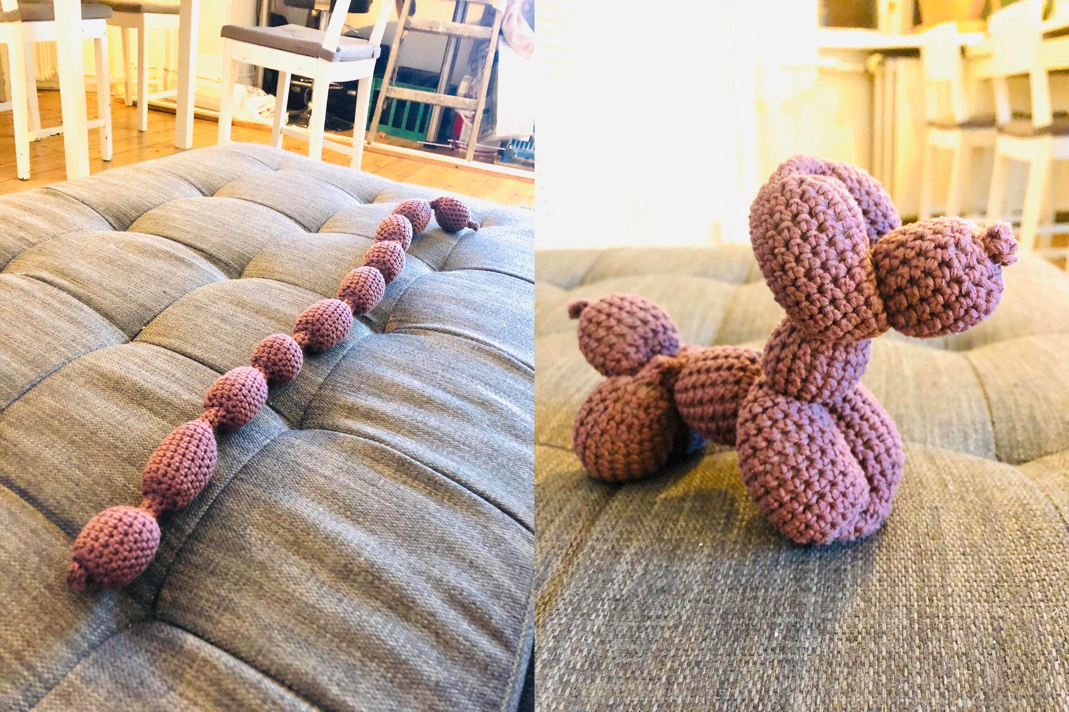 Went on Reddit. Got inspired. A few hours later and this guy showed up