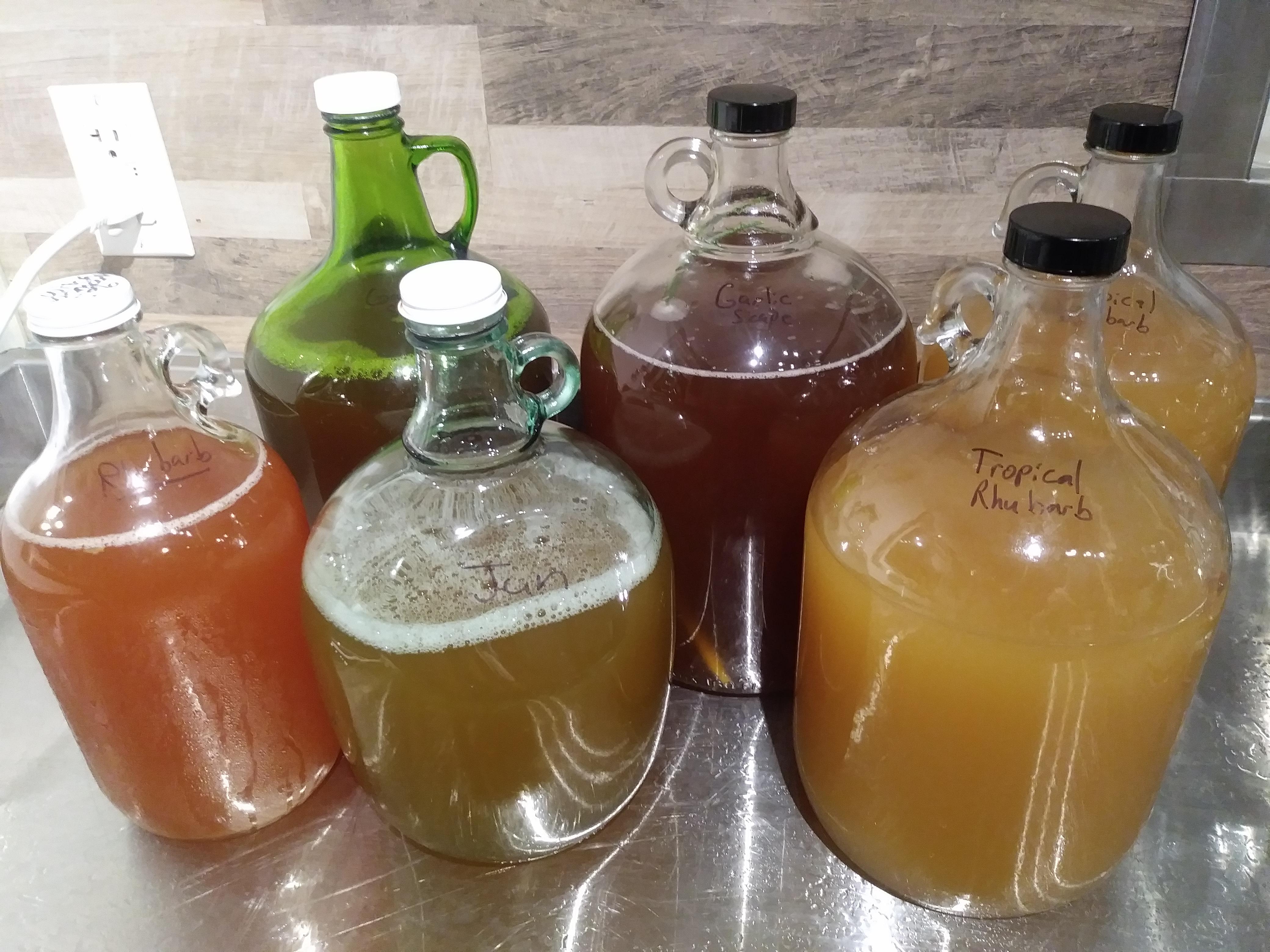 My jugs bring all the kombucha drinkers to the yard..... r/Kombucha