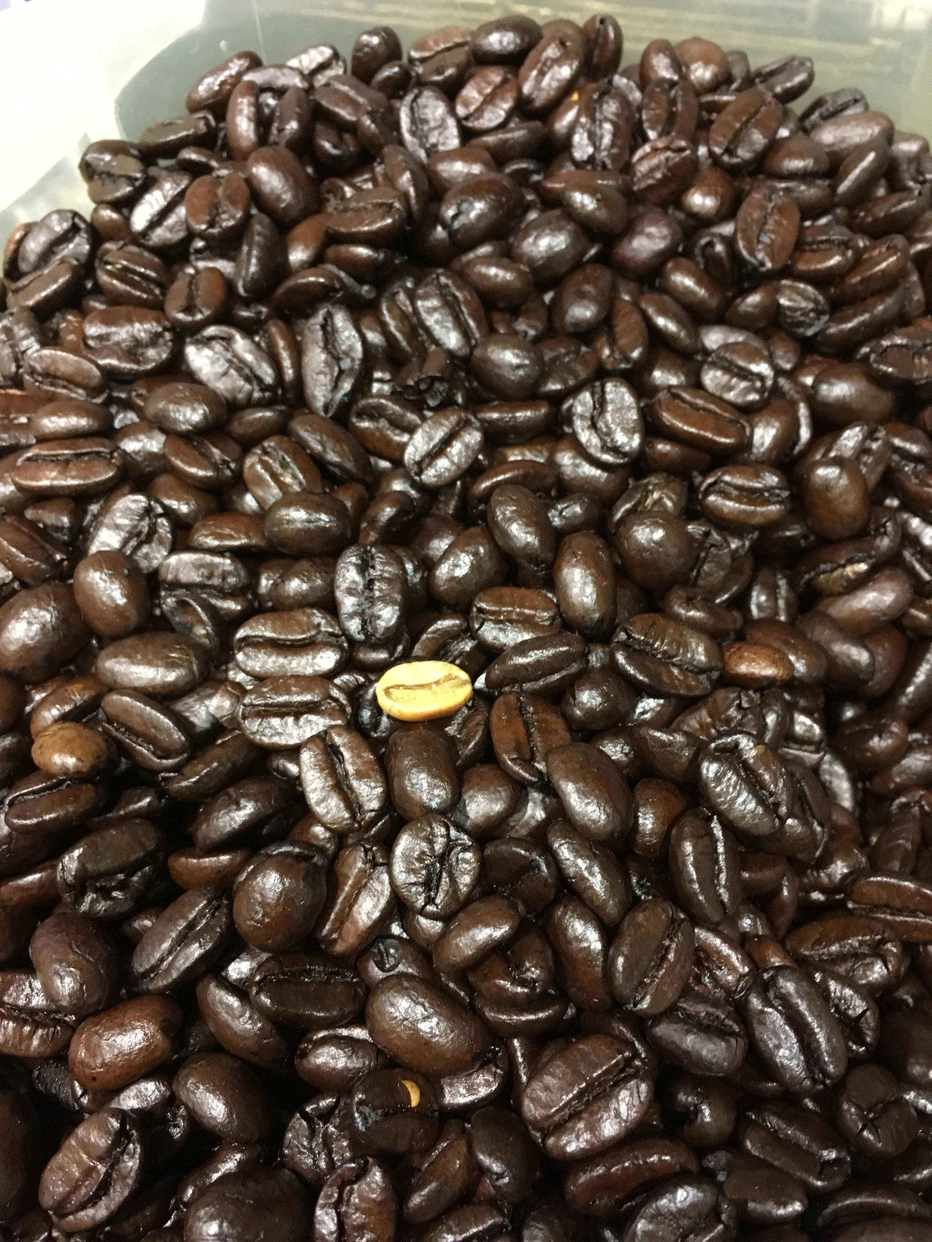 White coffee bean r/RealLifeShinies