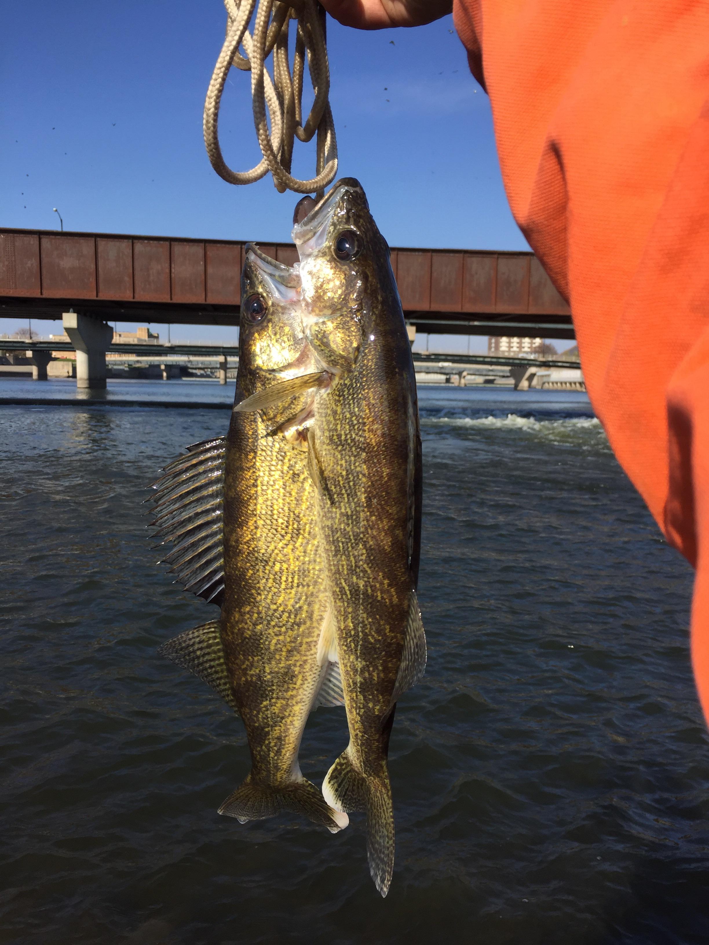 At my favorite fishing hole Fishing