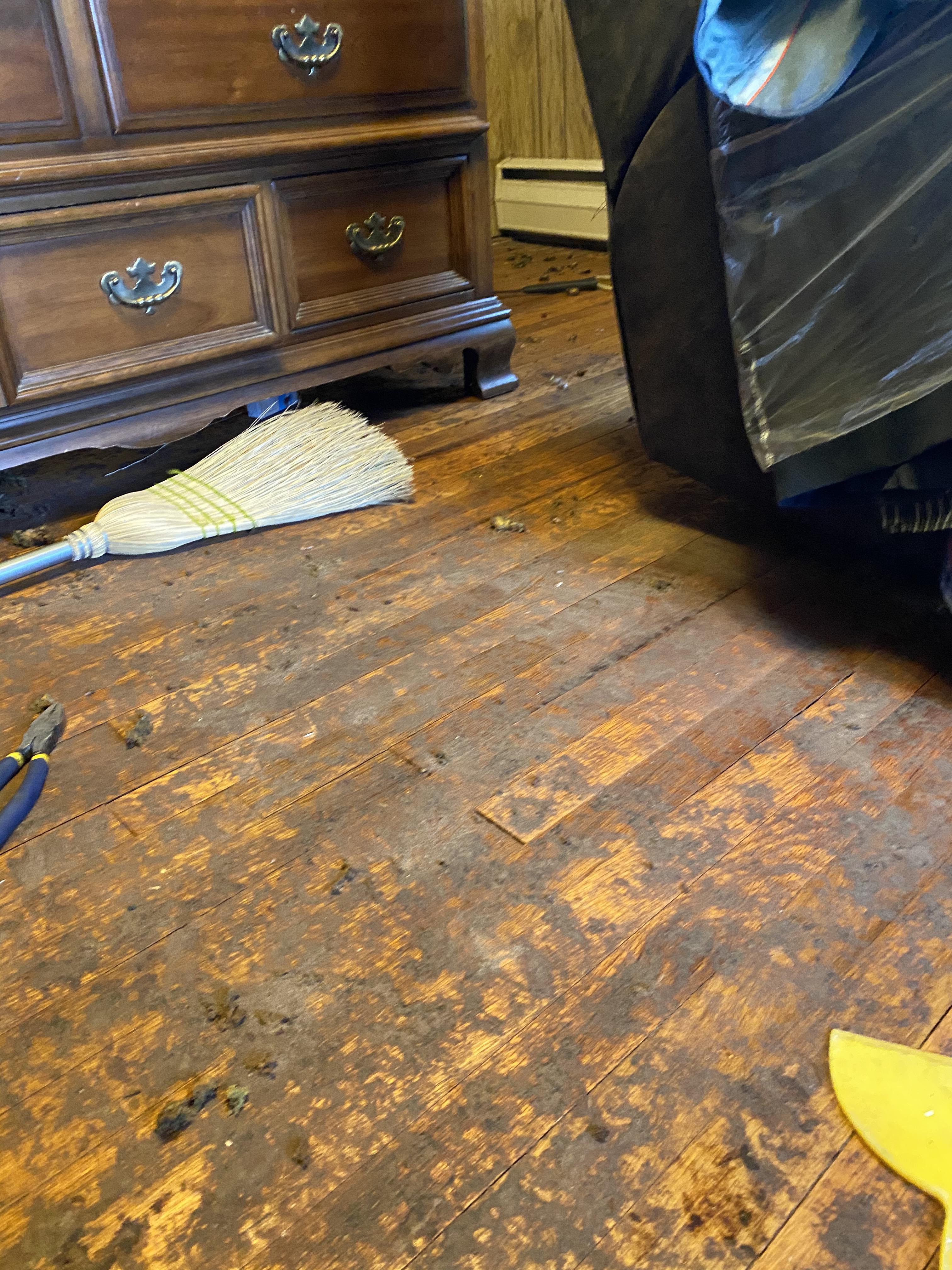 Any advice to get stuck carpet padding off of hardwood? r/woodworking