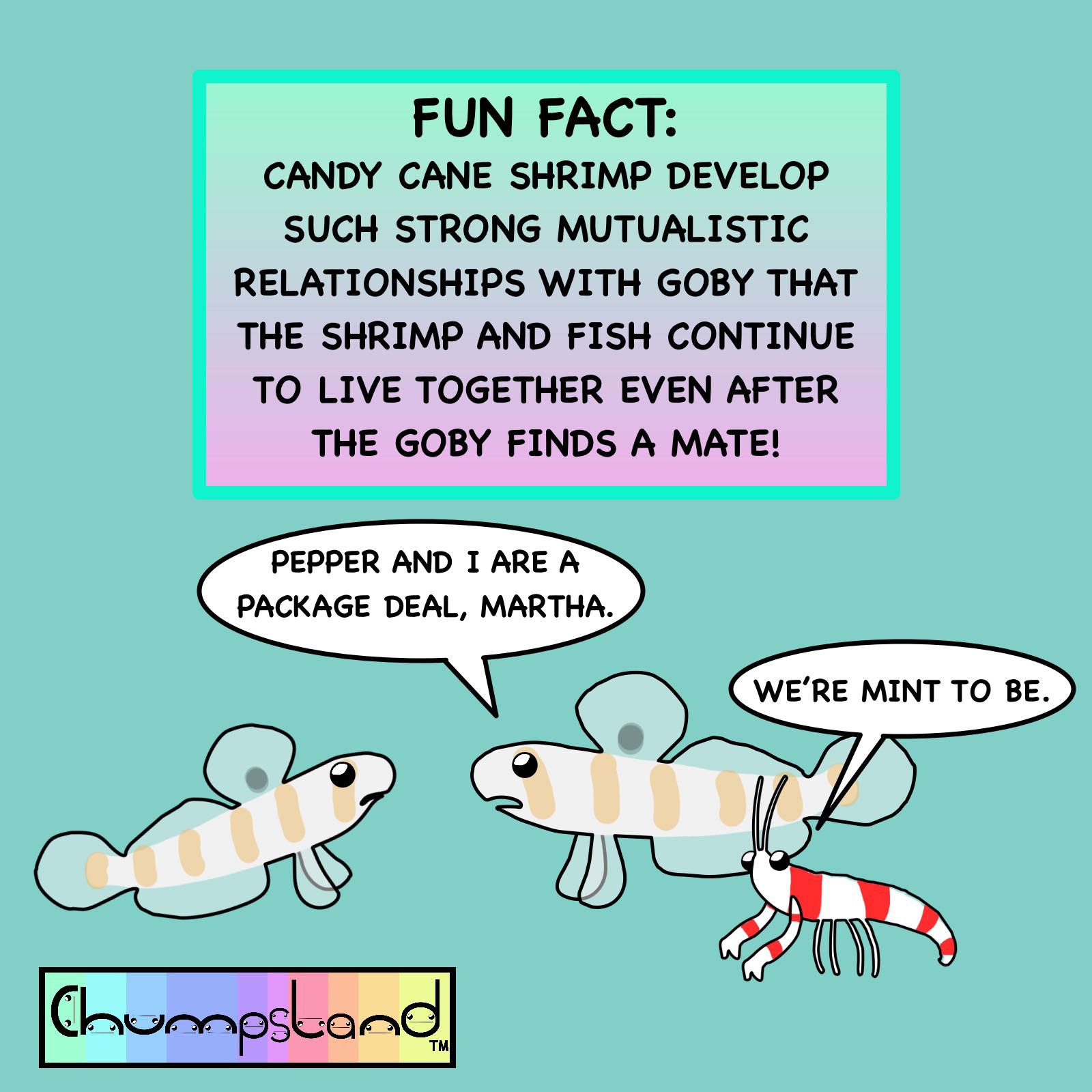 18 Hilarious Candy Cane Puns Punstoppable 🛑