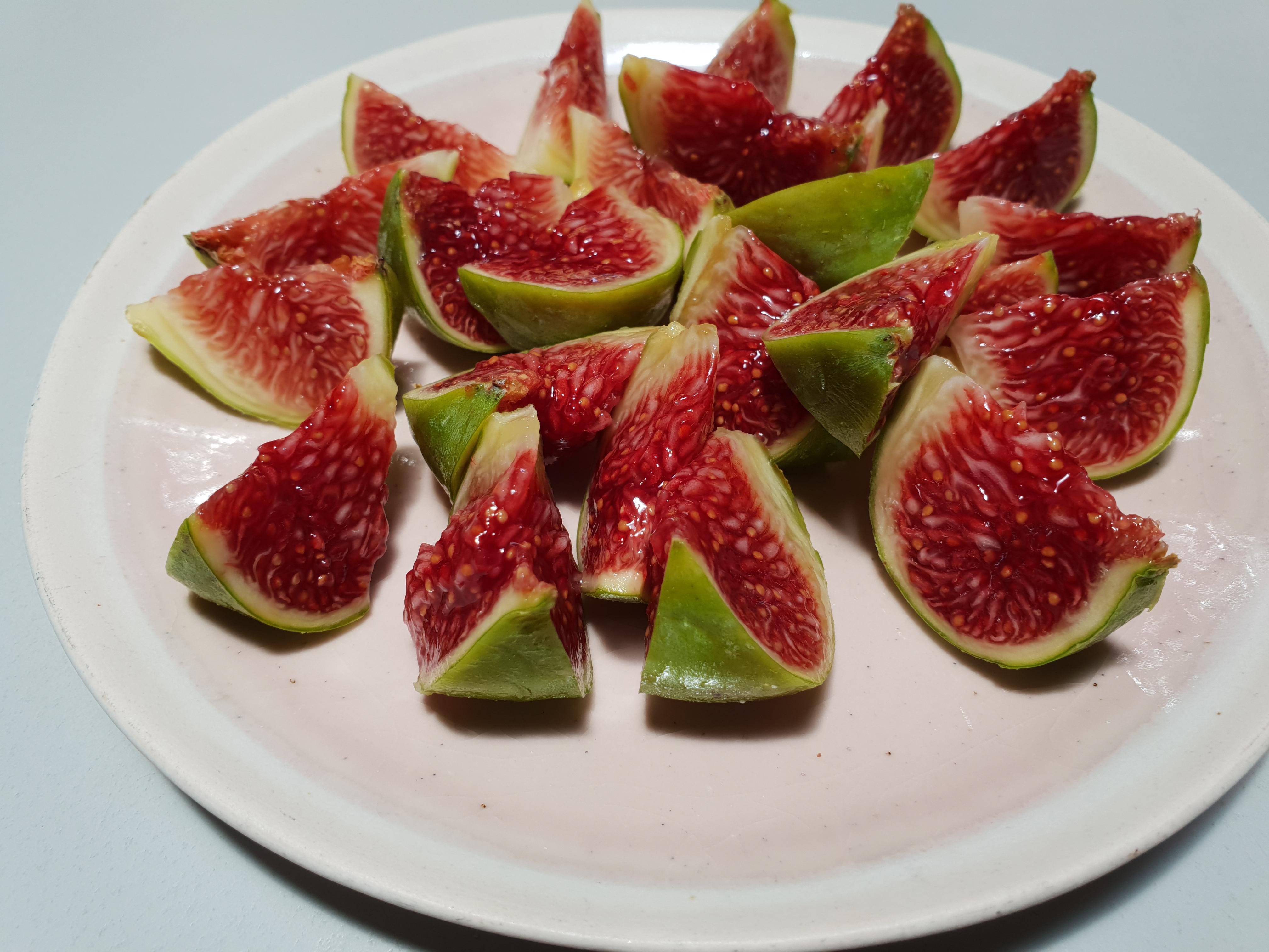 It's fig season! r/gardening