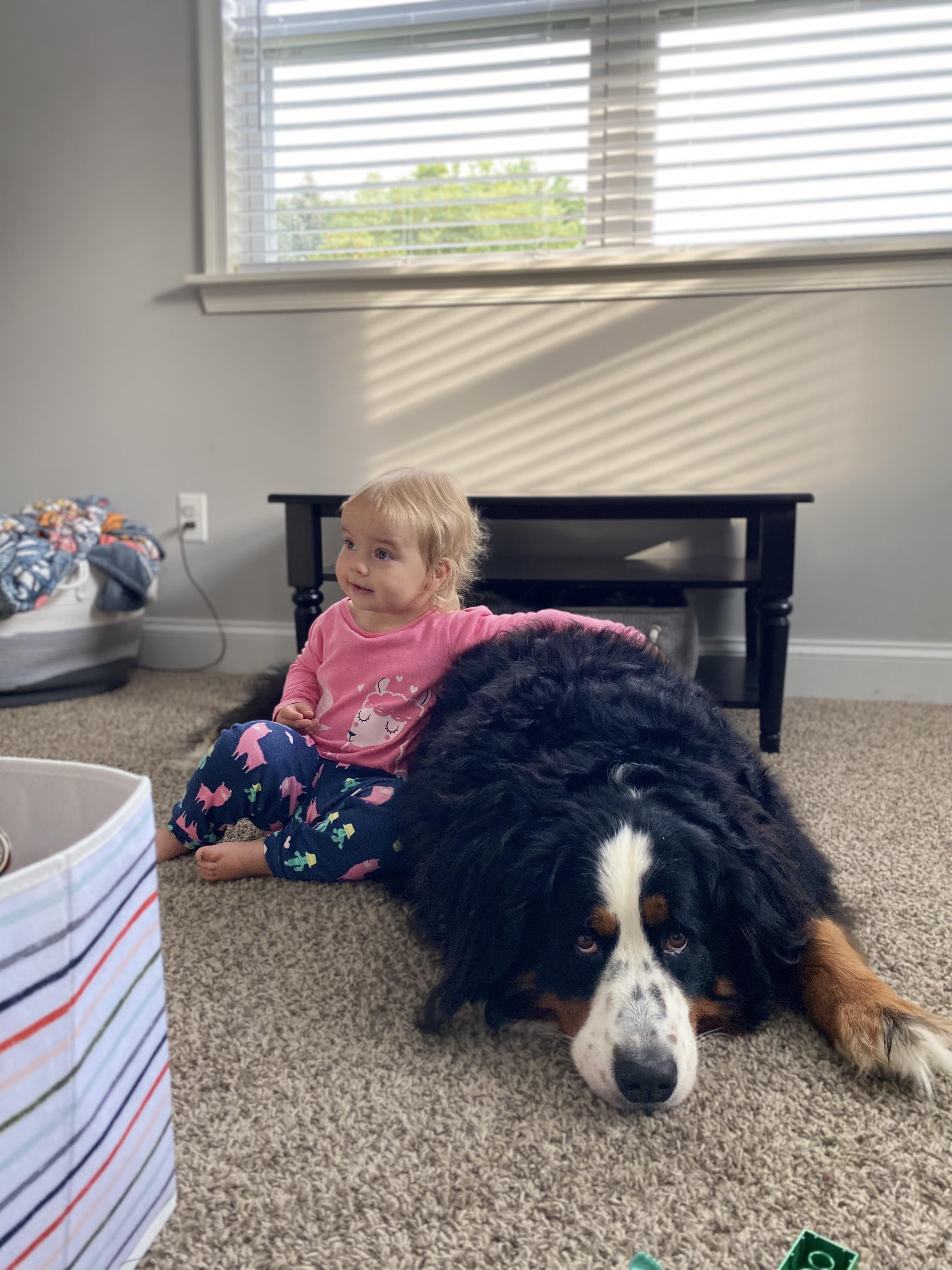 The most underrated characteristic of berners is their absolute