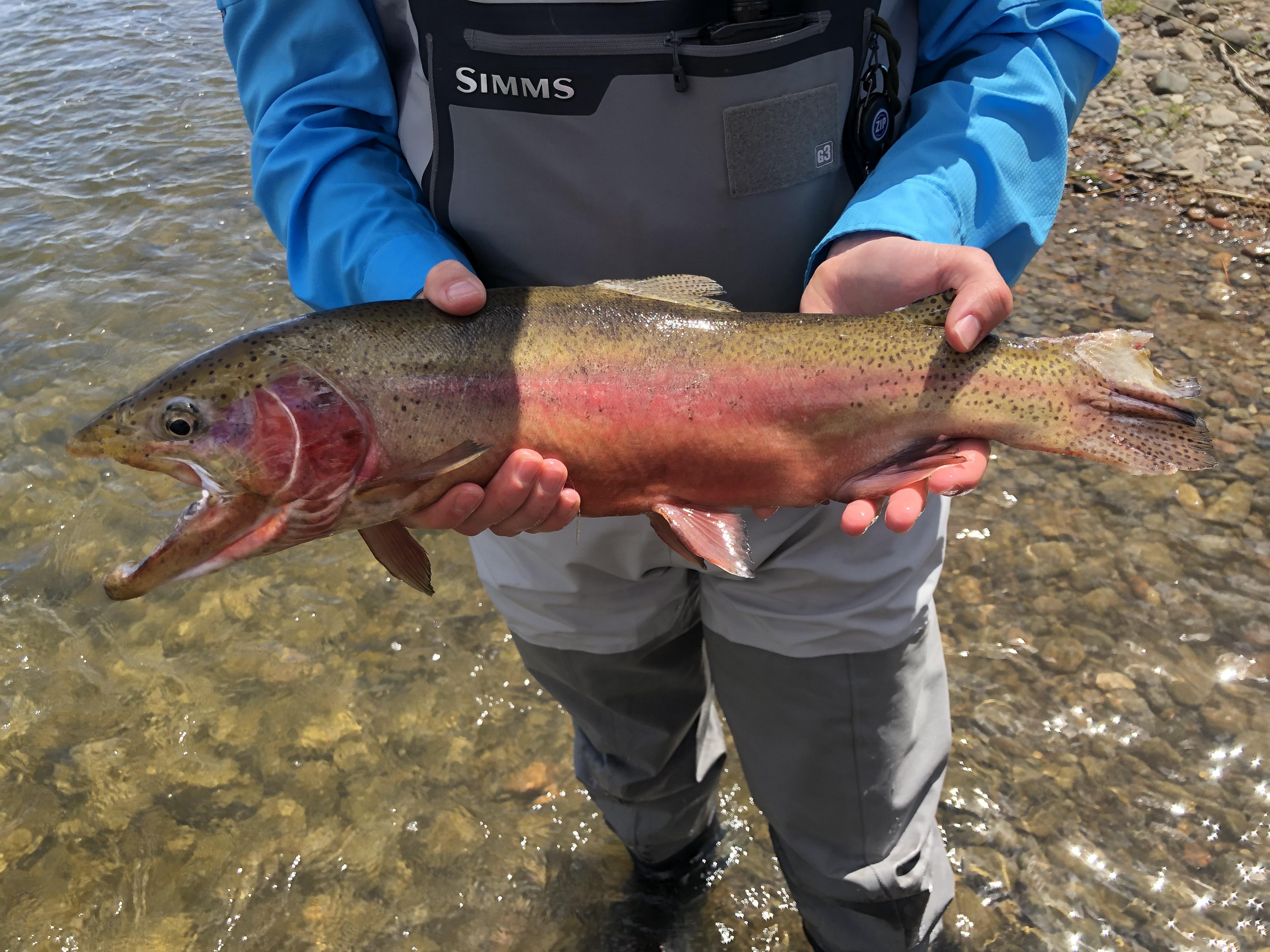 Fishing the Arkansas River in Pueblo CO r/flyfishing