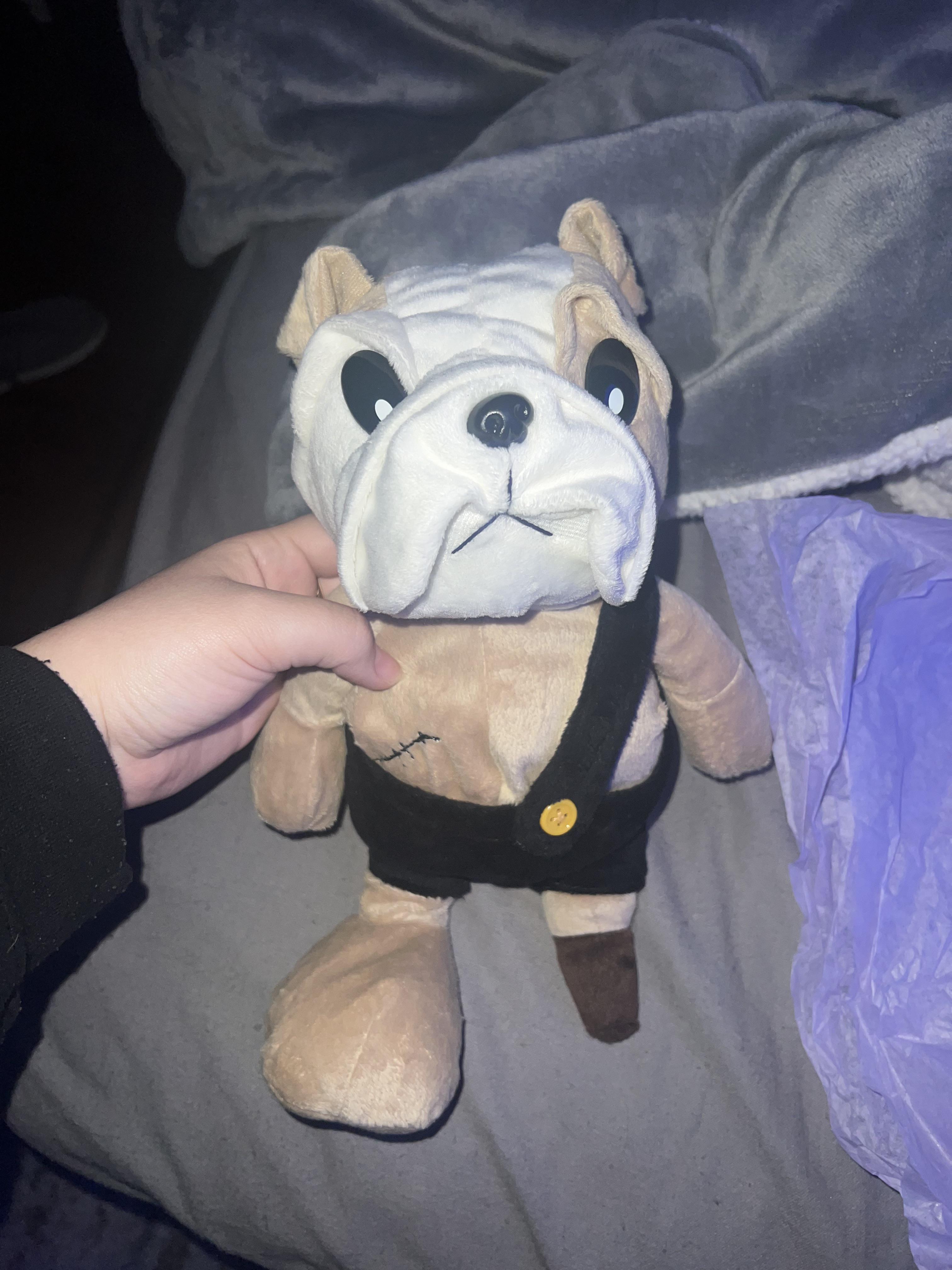 Hello everyone, I lost this stuffed animal a couple of months ago( I