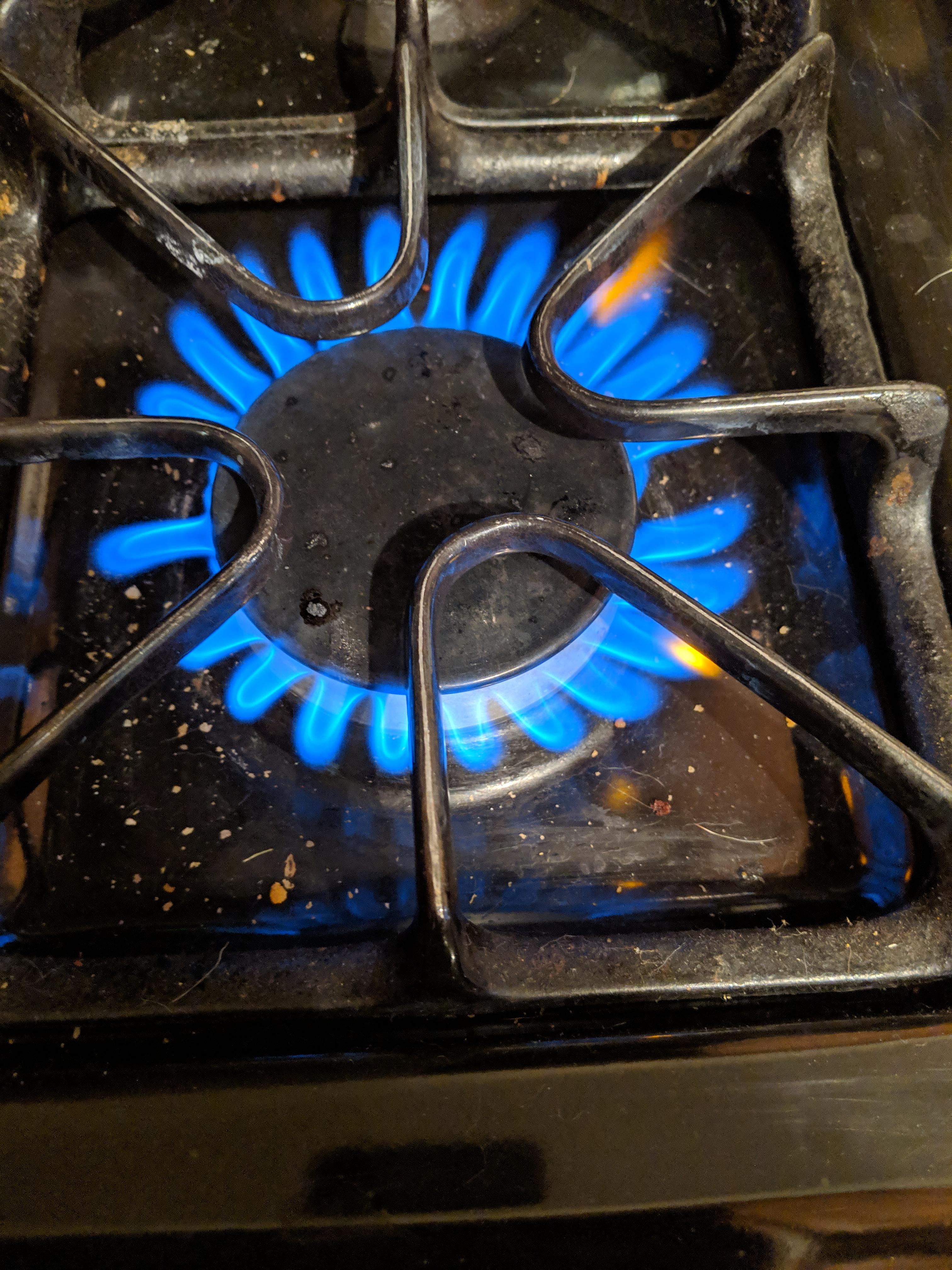 My stove is on fire. r/notinteresting