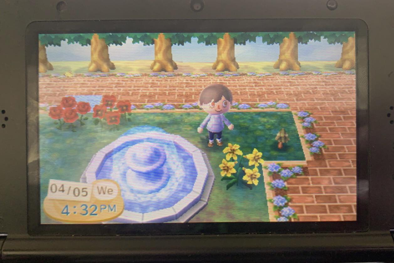 Why won’t this sapling grow? I’ve planted saplings here before with the fountain and it’s been