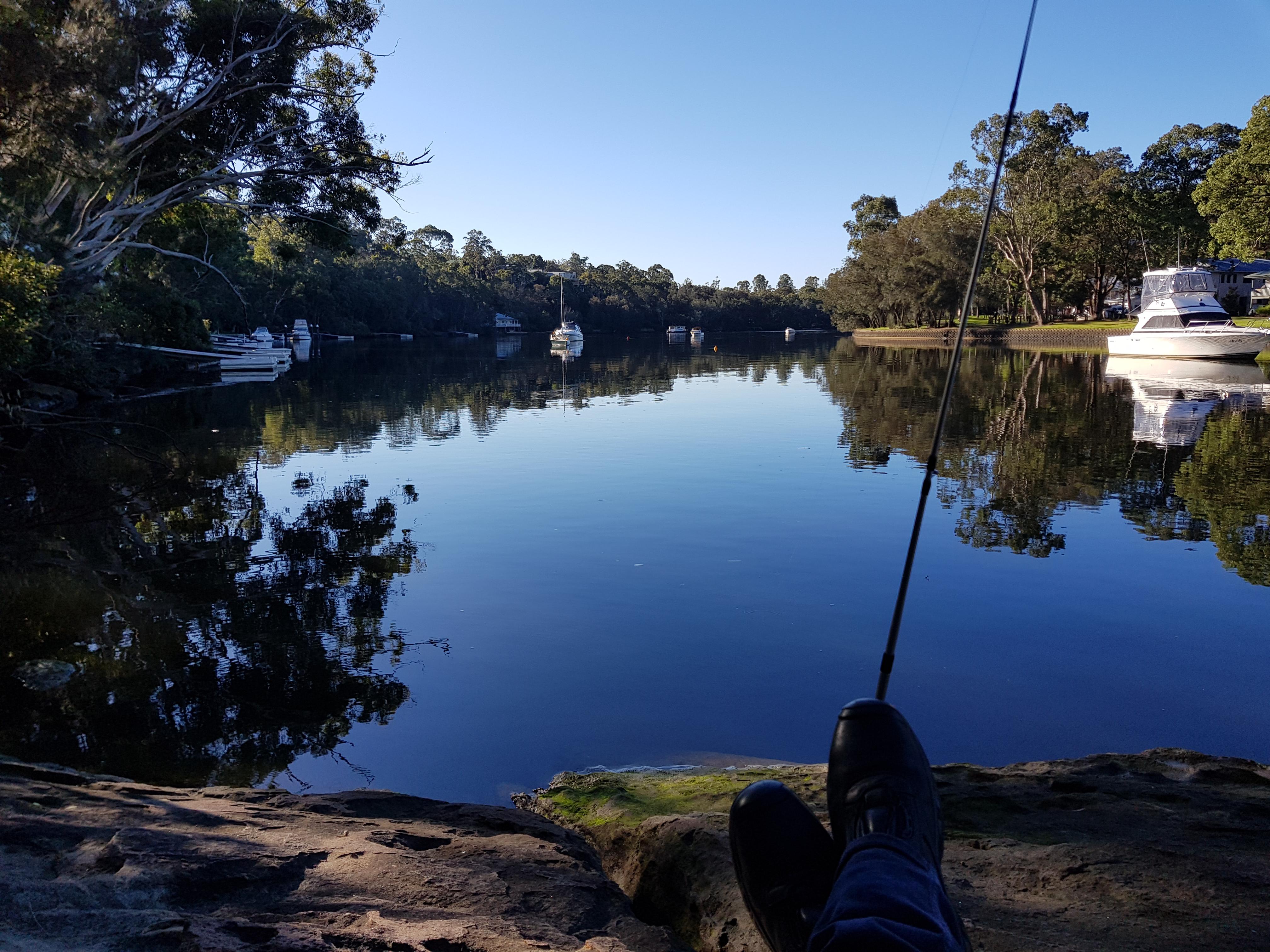 Anyone else fish along the River? Perfect day for it! r/sydney