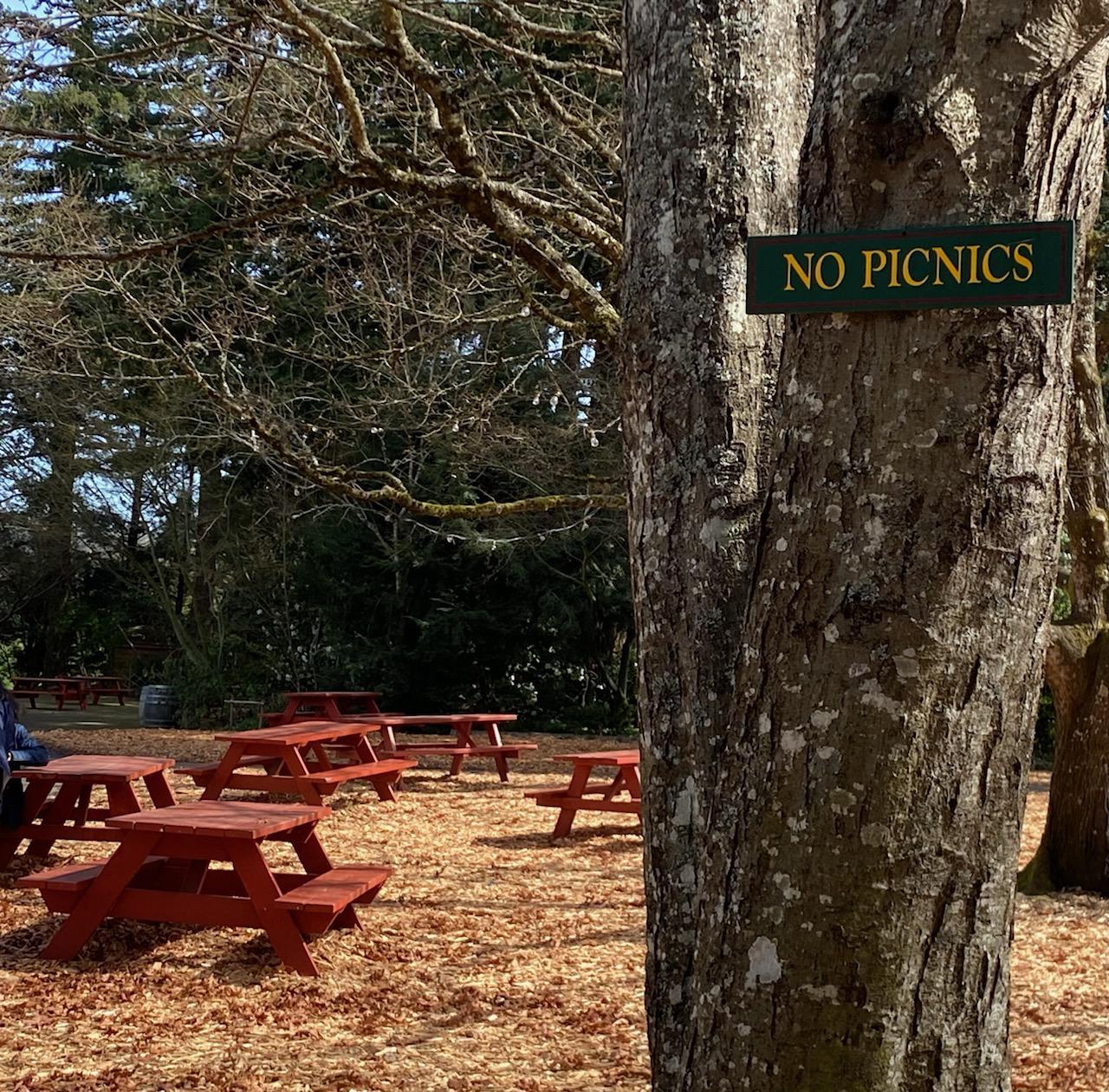 "No picnics" sign next to a flock of picnic tables r/mildlyinteresting