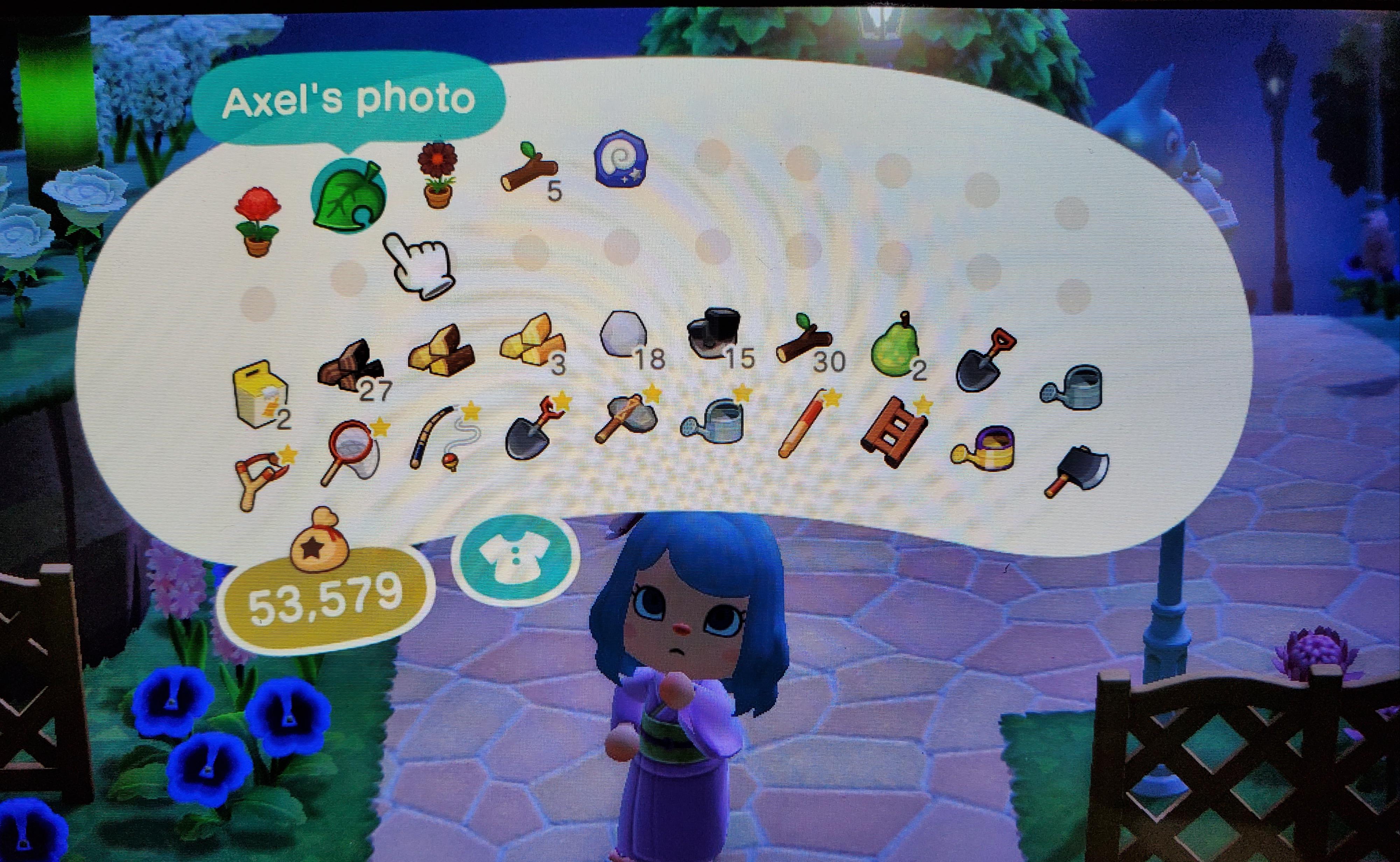 You can still get villager photos in this game! Won from a treasure