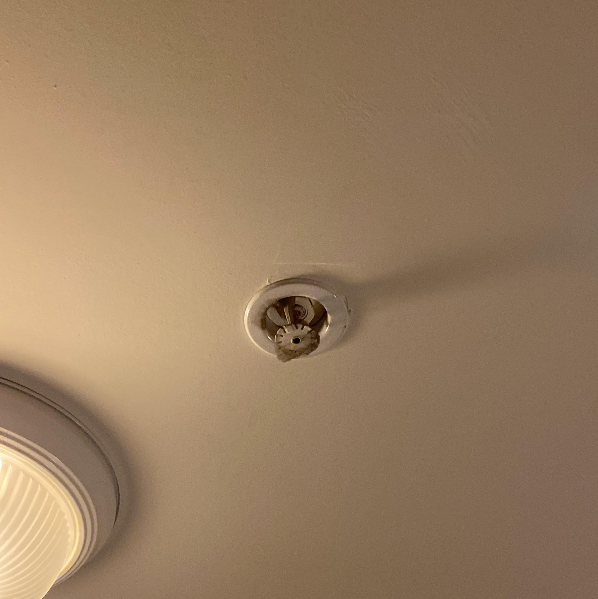 Will incense set this off? Only ever had smoke detectors before, not