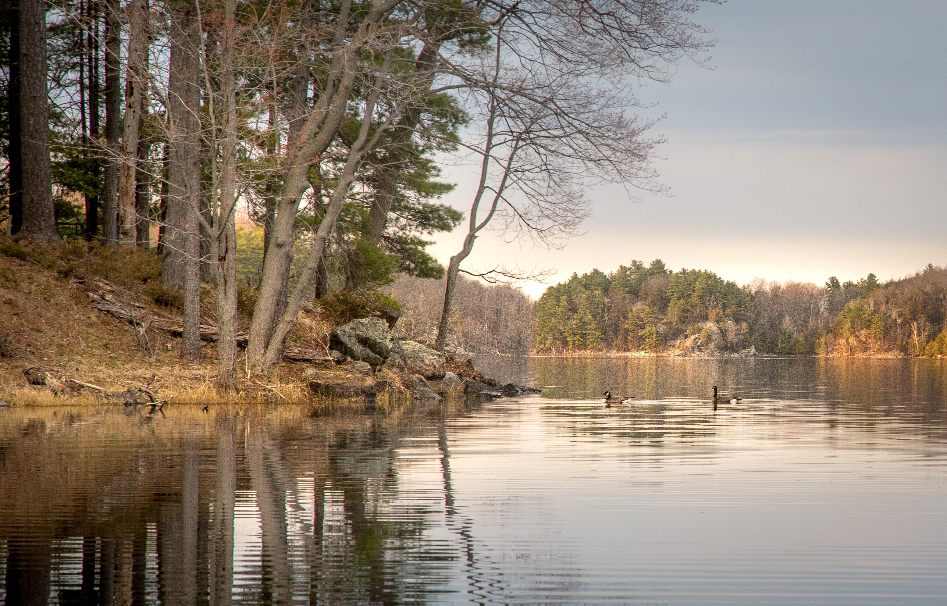 Few places as beautiful as the little quiet lakes of Ontario [OC] r