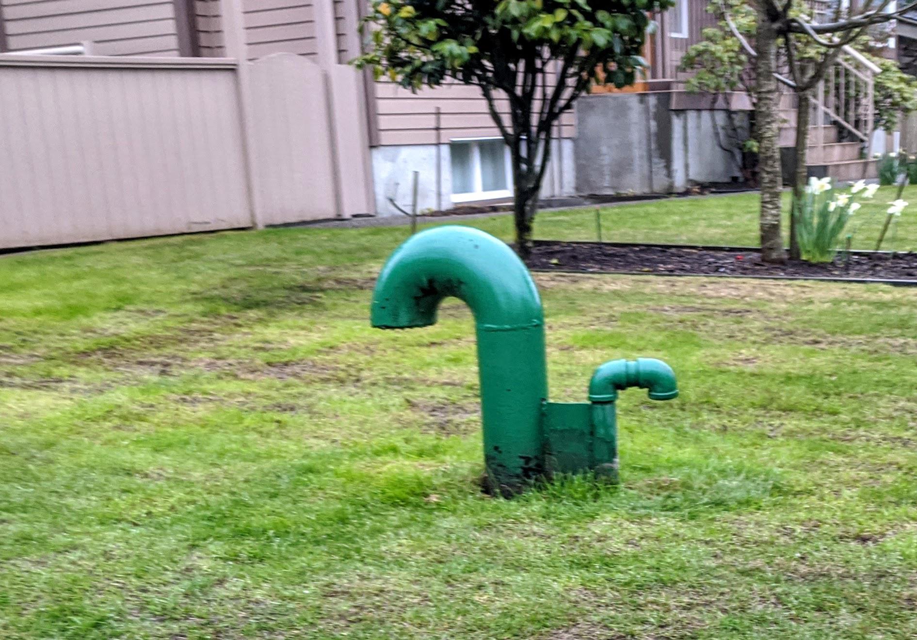 Am I the only one who can't help but think "squirrel" when I see this vent pipe on my morning